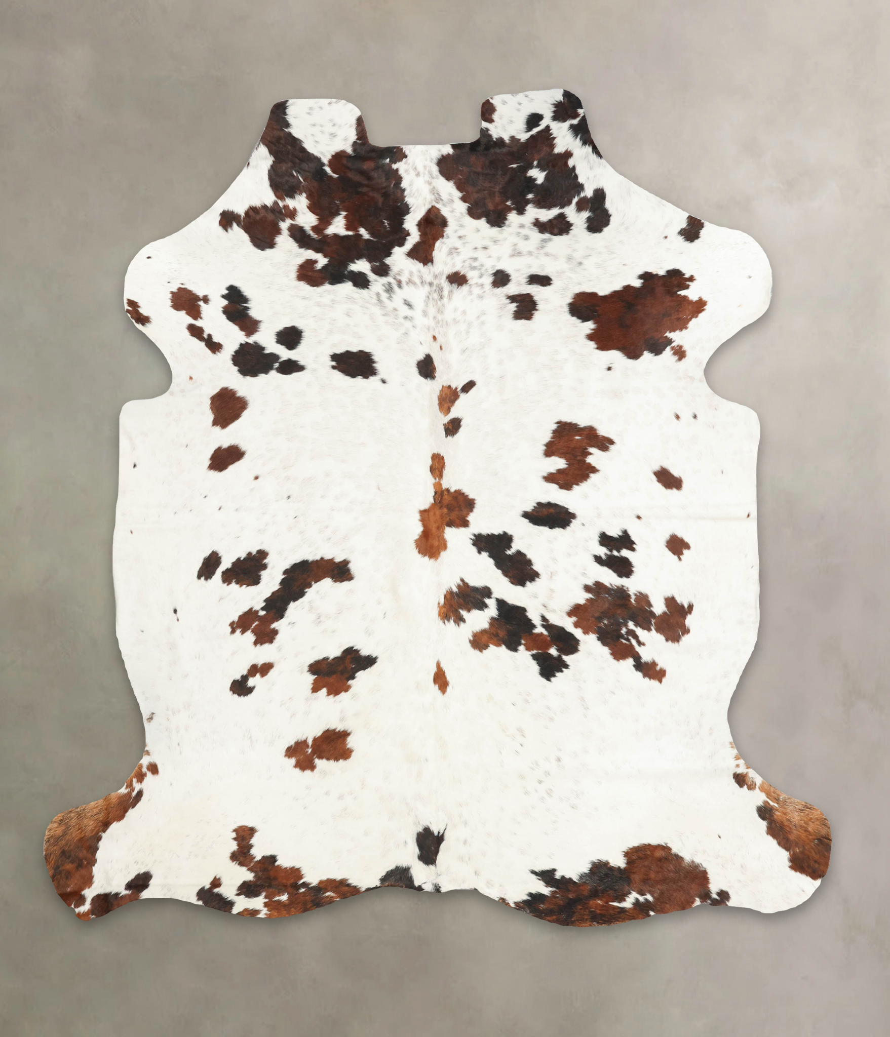 Tricolor Cowhide Rug #B5952