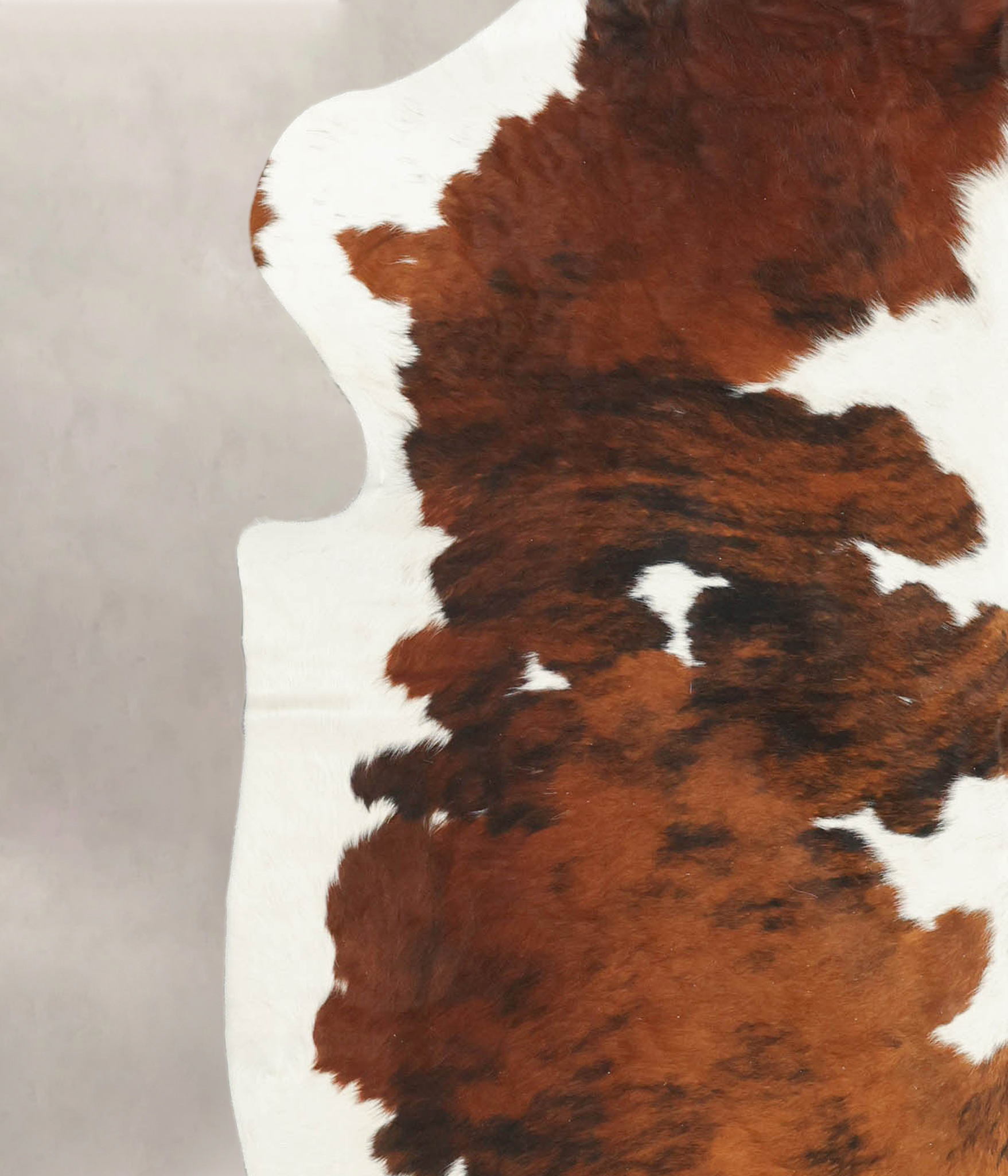 Tricolor Cowhide Rug #B5954