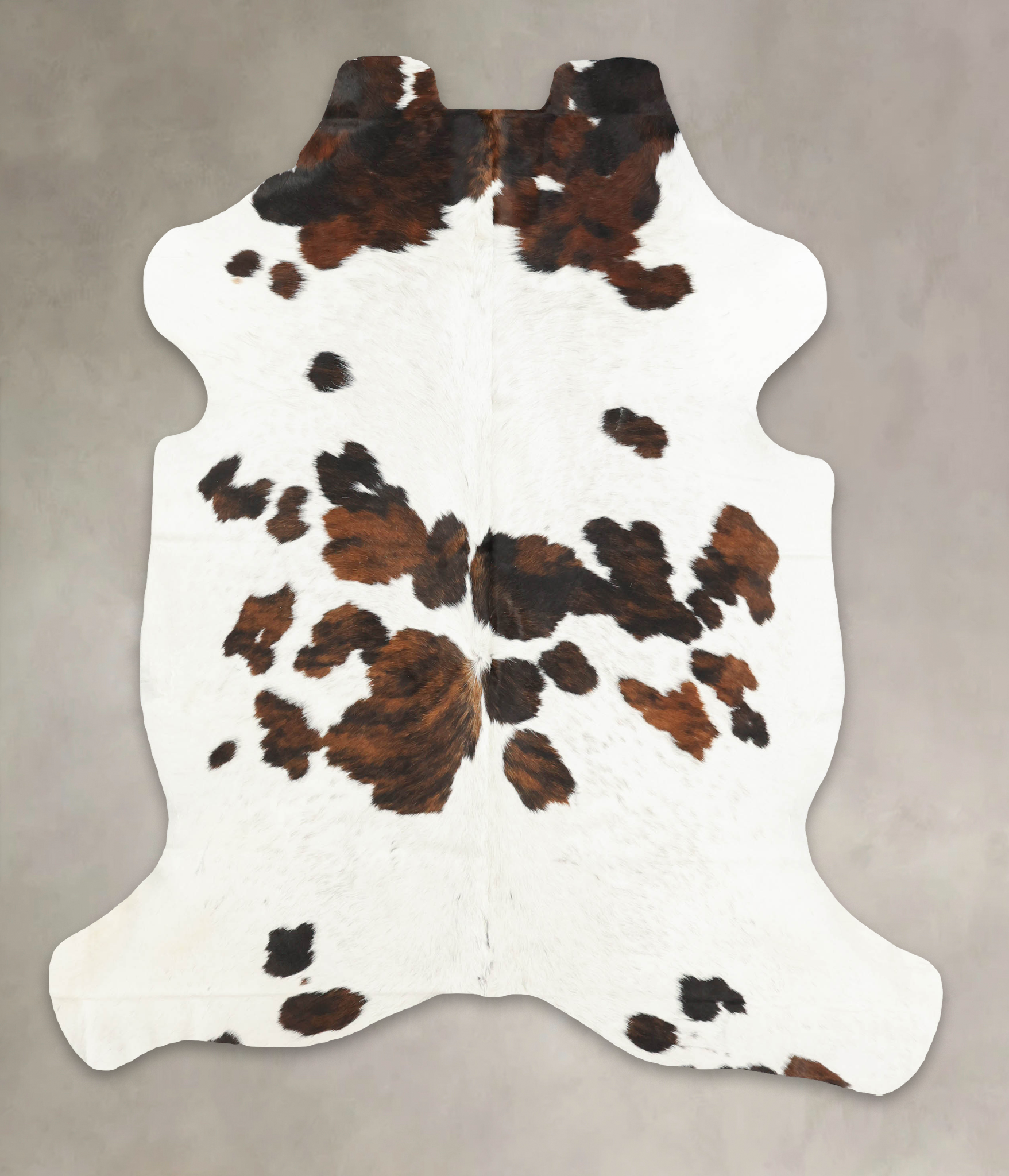 Tricolor Cowhide Rug #B5956