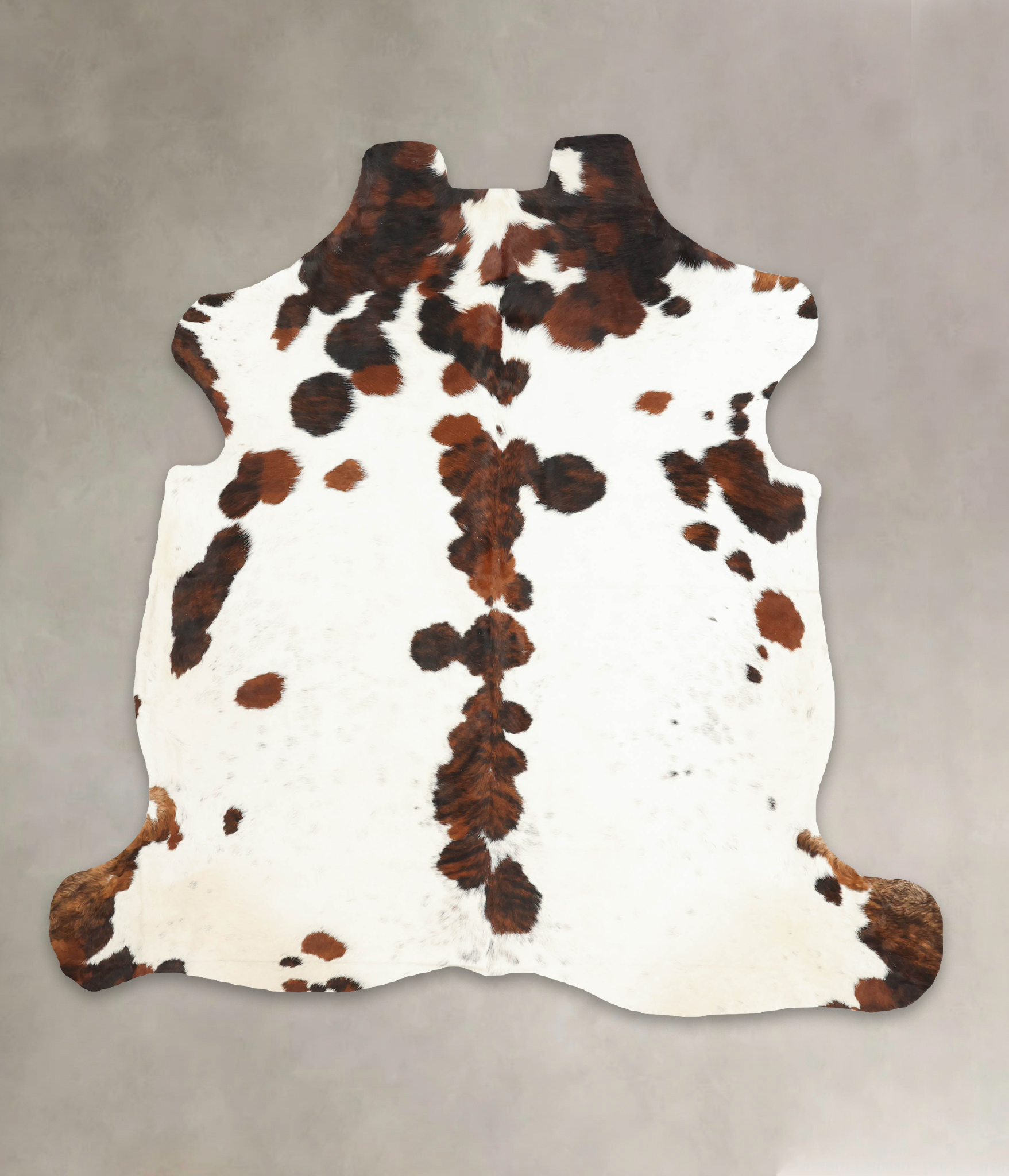 Tricolor Cowhide Rug #B5957