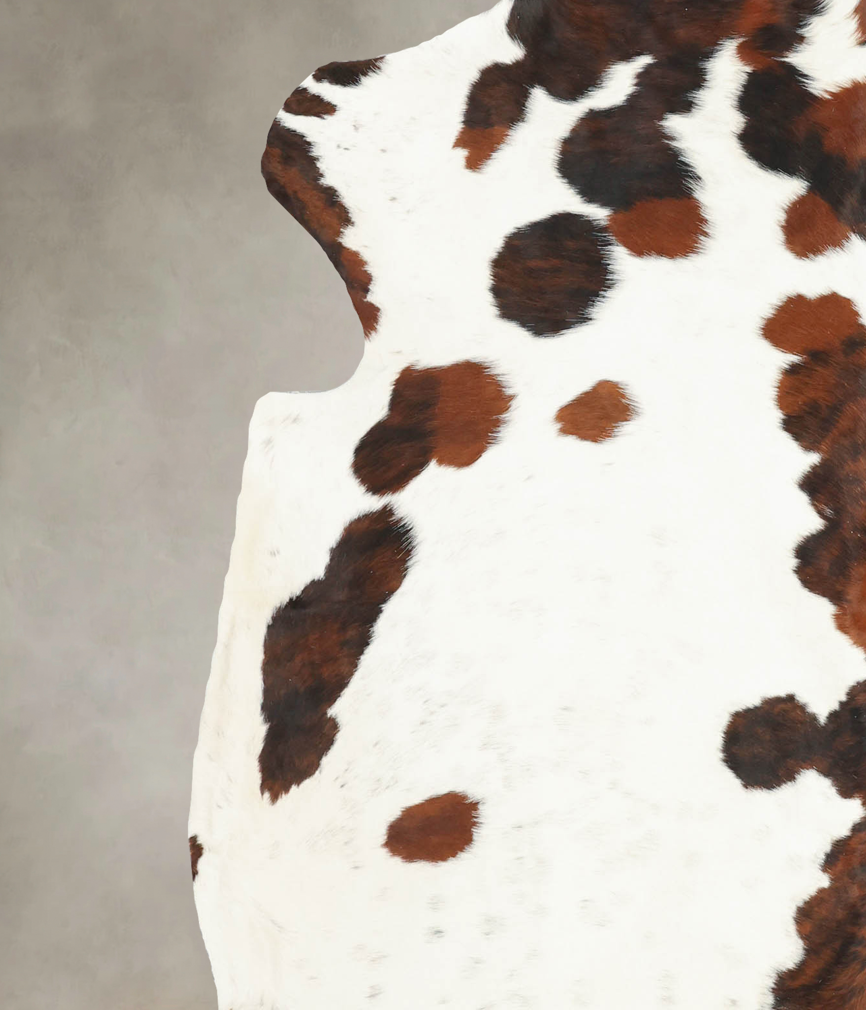 Tricolor Cowhide Rug #B5957