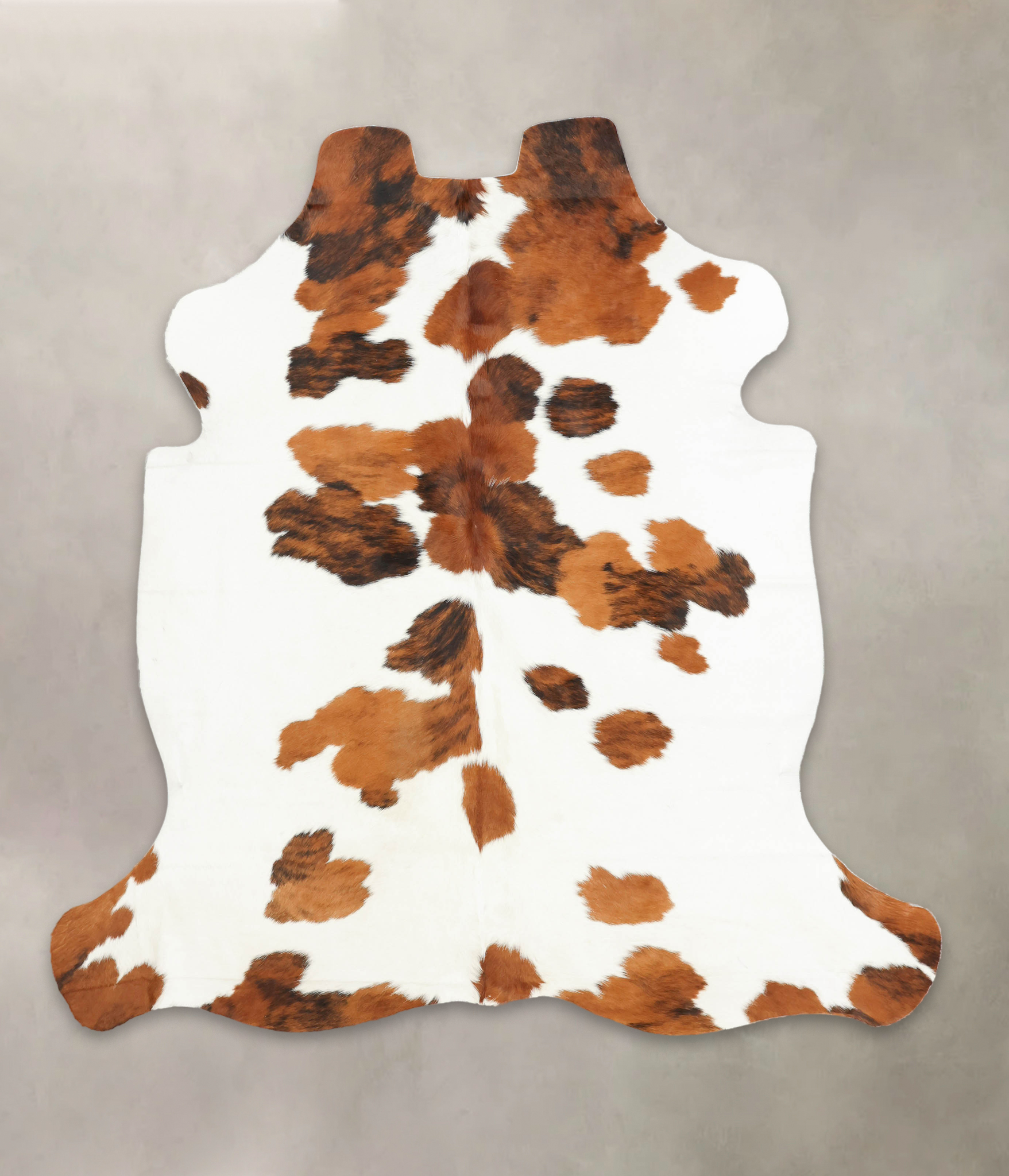 Tricolor Cowhide Rug #B5962