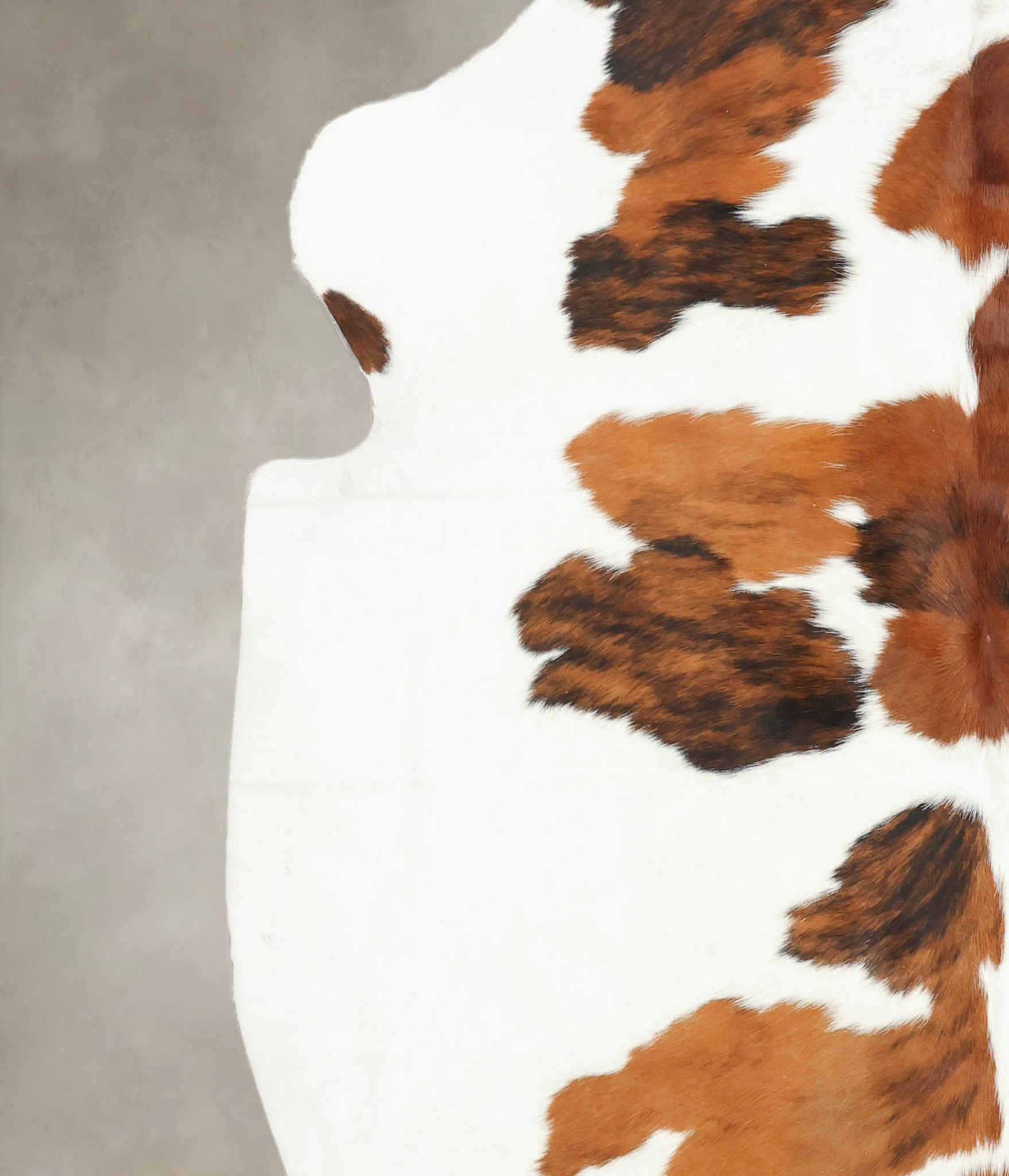 Tricolor Cowhide Rug #B5962