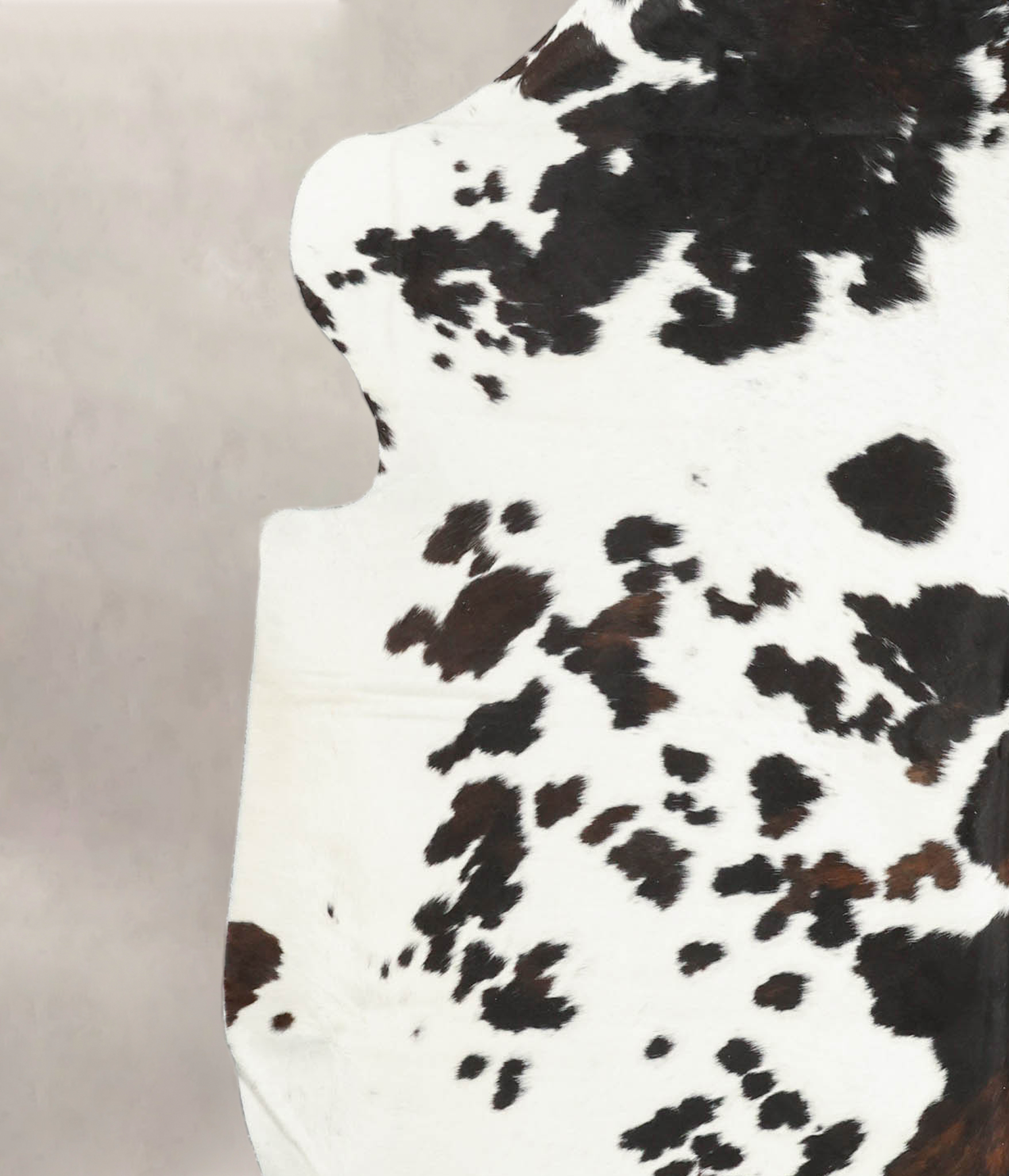 Tricolor Cowhide Rug #B5965