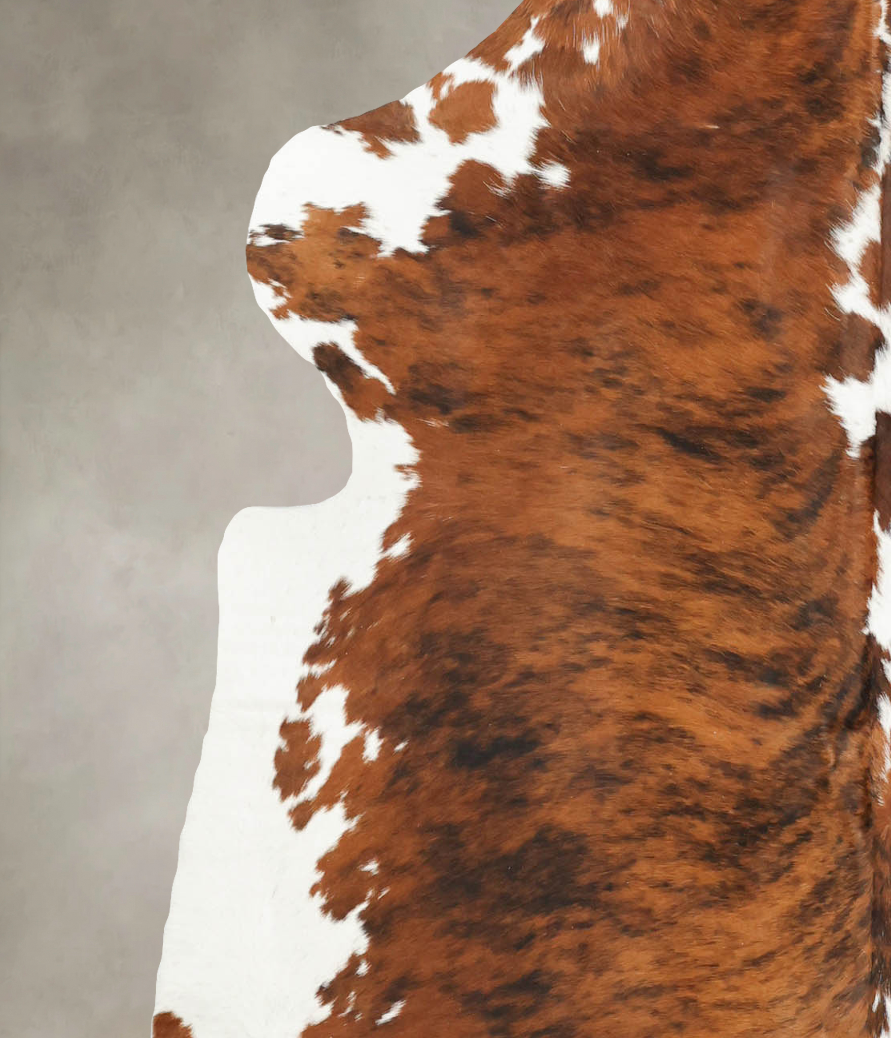 Tricolor Cowhide Rug #B5966