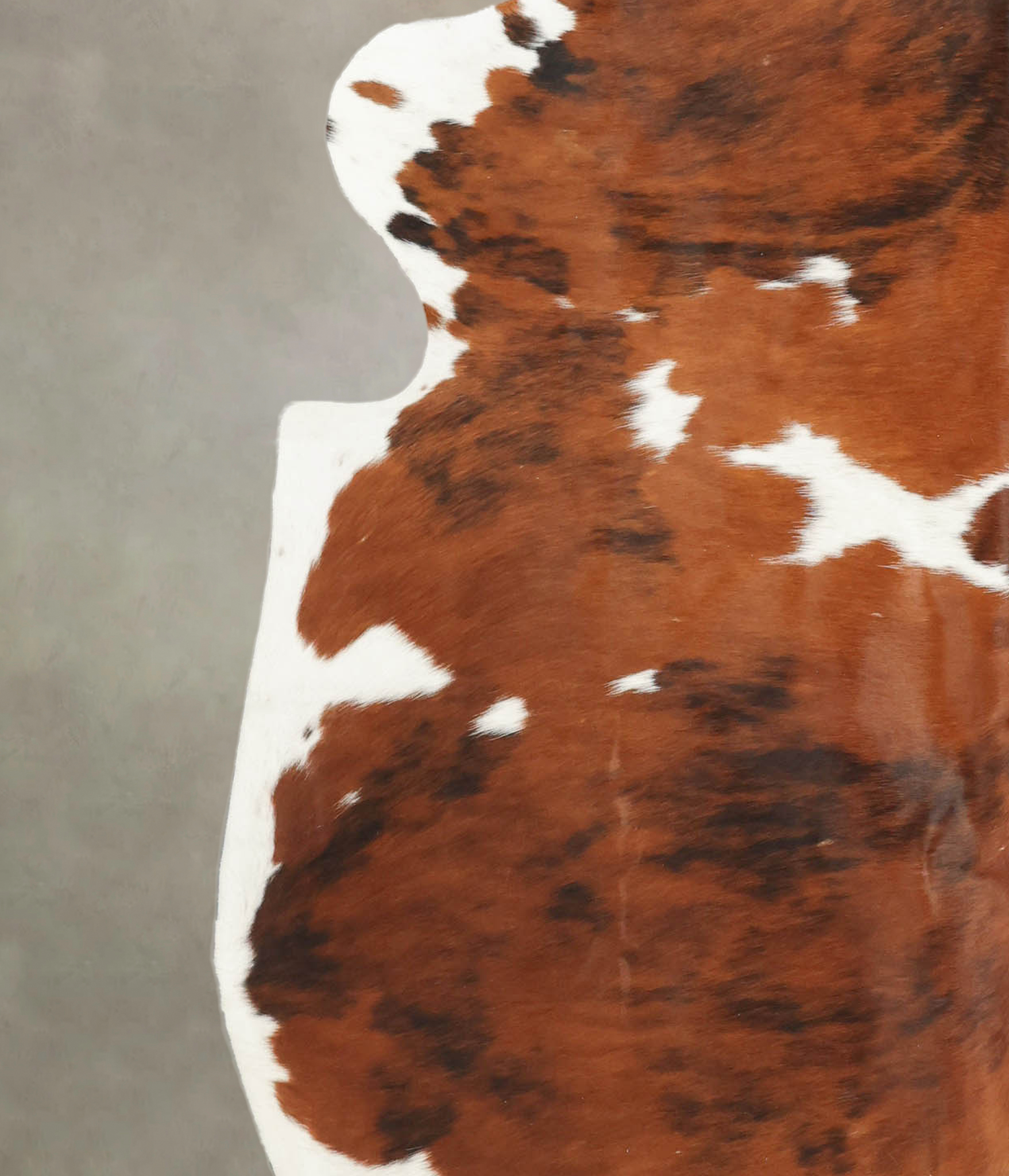 Tricolor Cowhide Rug #B5968