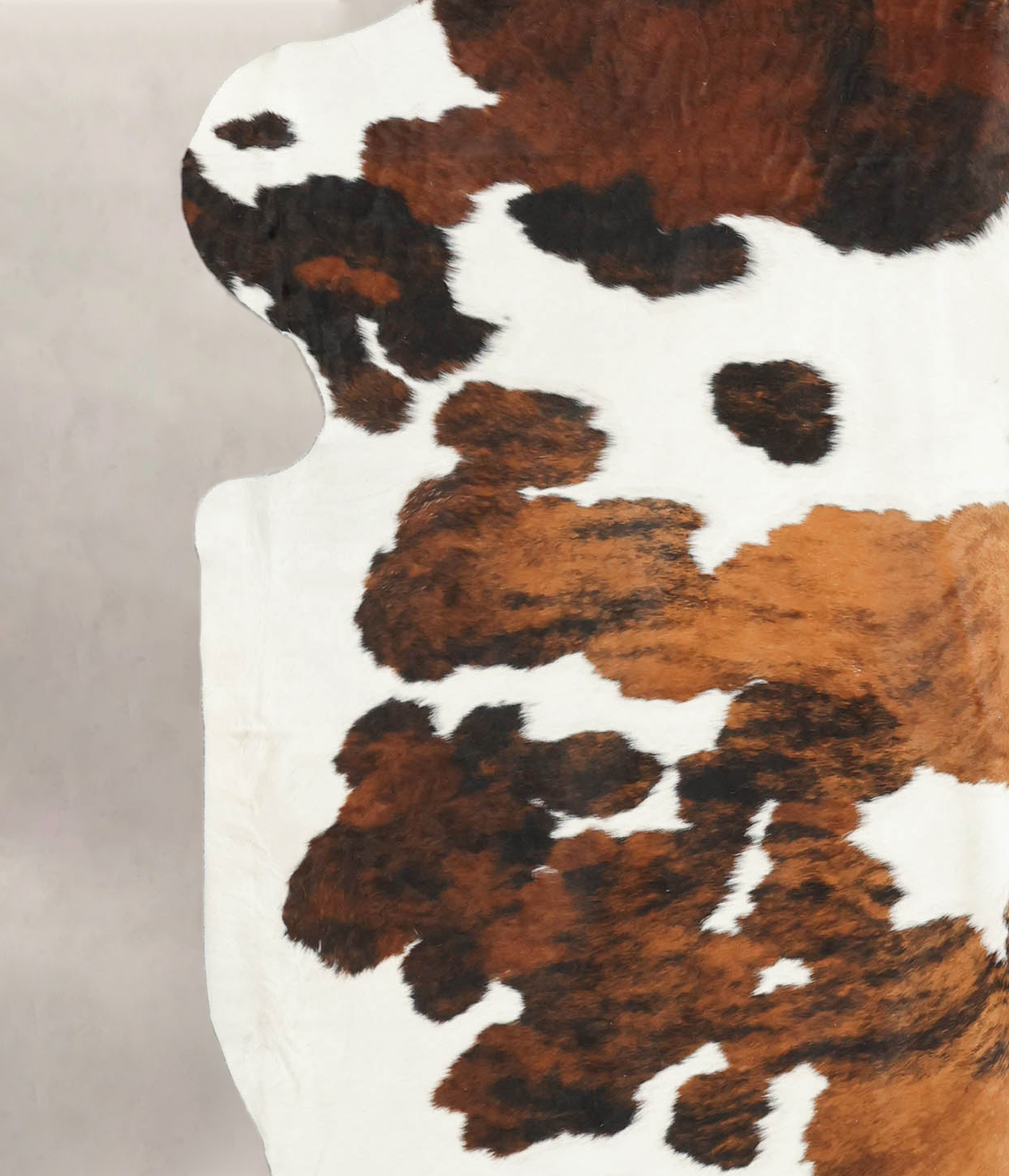 Tricolor Cowhide Rug #B5969