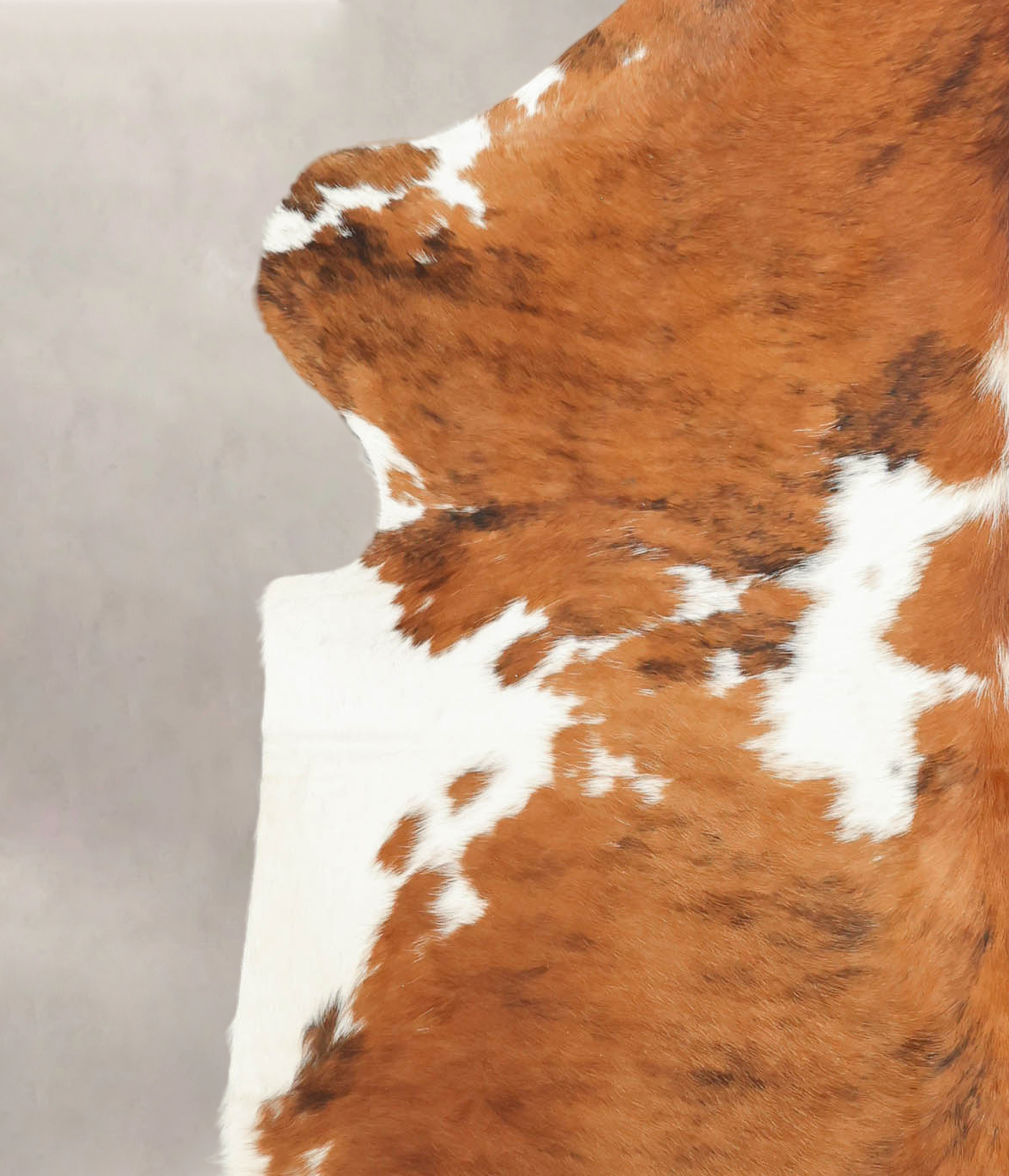 Tricolor Cowhide Rug #B5971