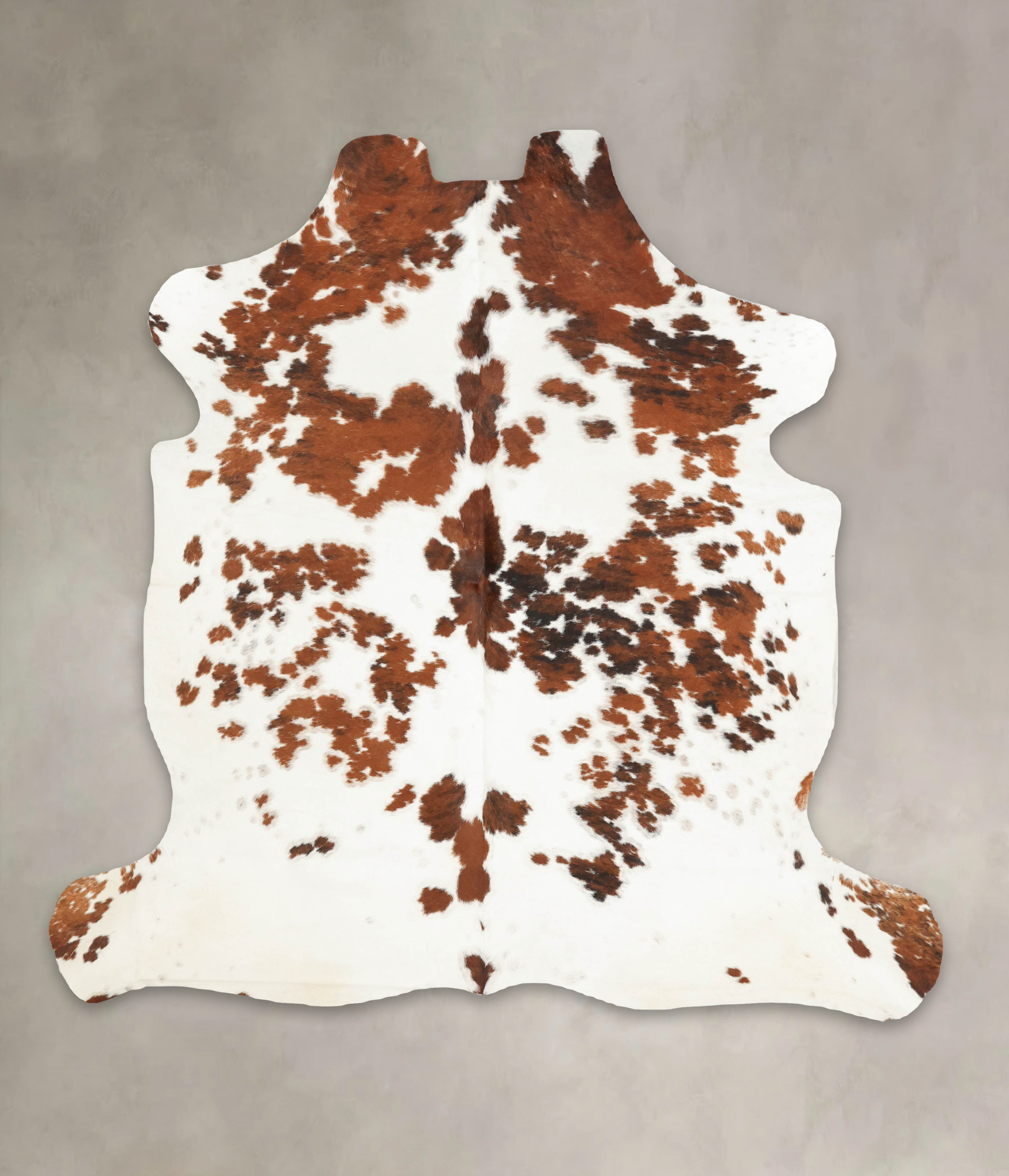 Tricolor Cowhide Rug #B5972