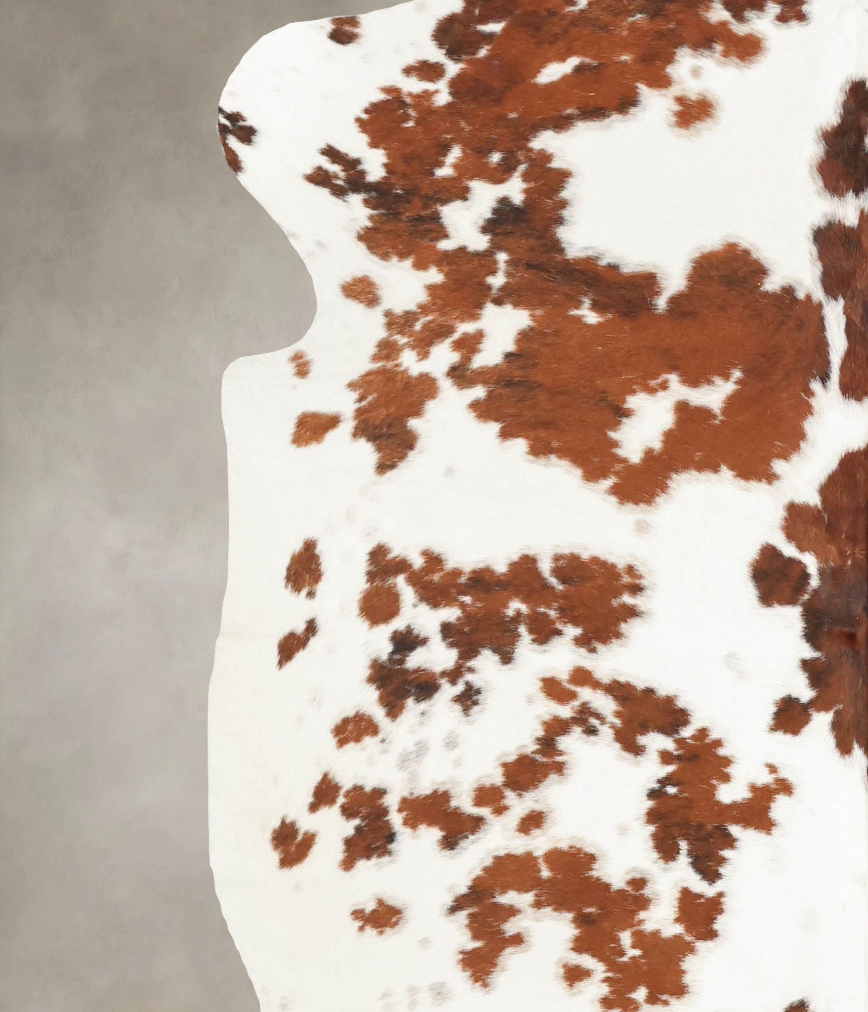 Tricolor Cowhide Rug #B5972