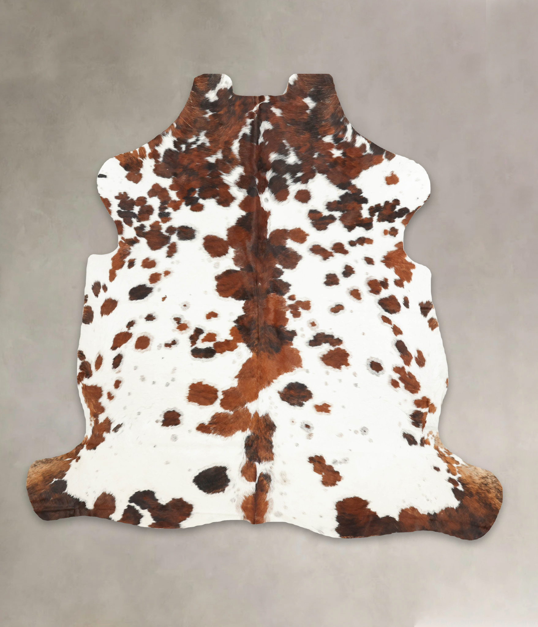 Tricolor Cowhide Rug #B5976