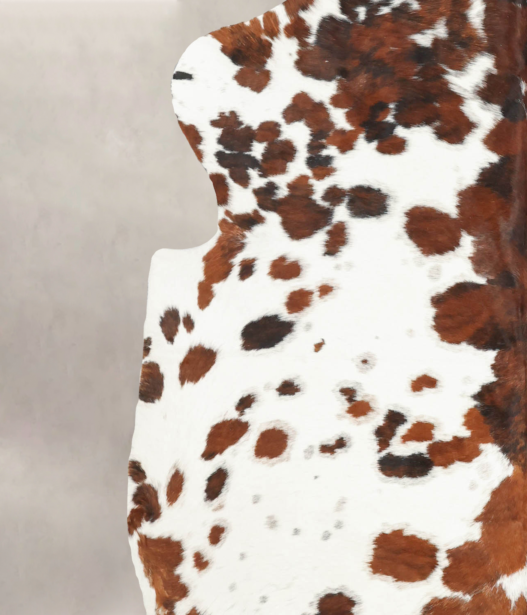 Tricolor Cowhide Rug #B5976