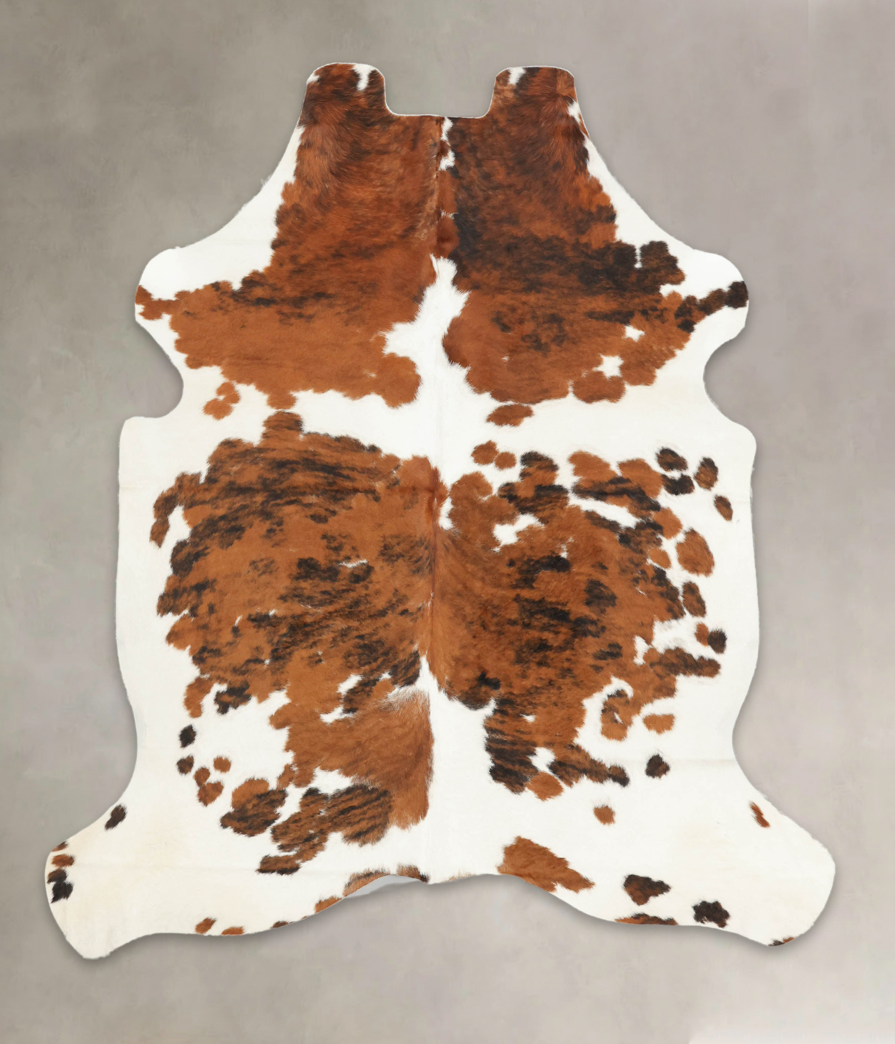 Tricolor Cowhide Rug #B5985