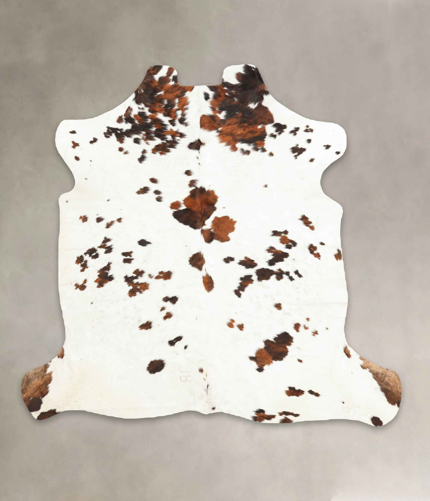 Tricolor Cowhide Rug #B6008