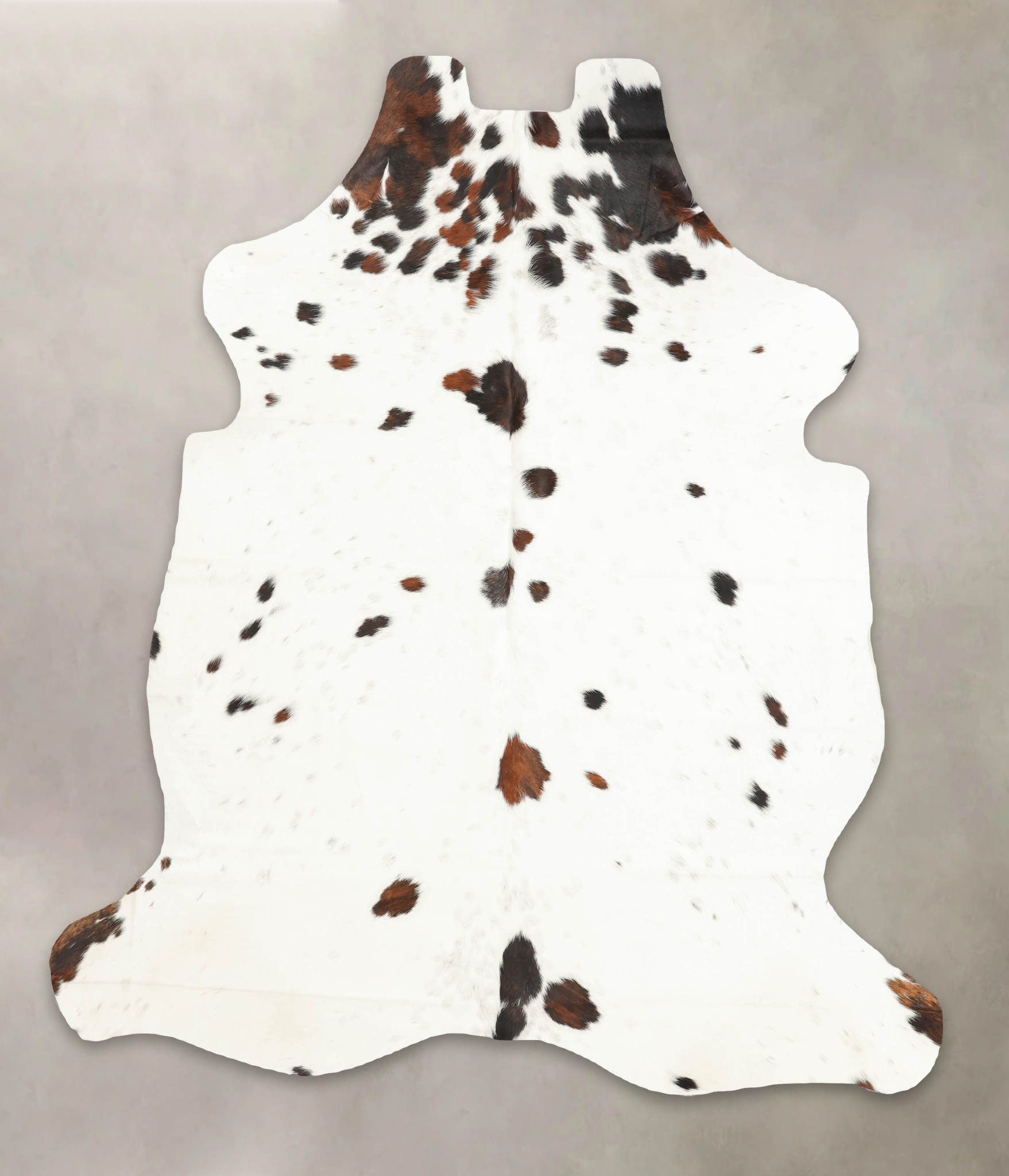 Tricolor Cowhide Rug #B6012