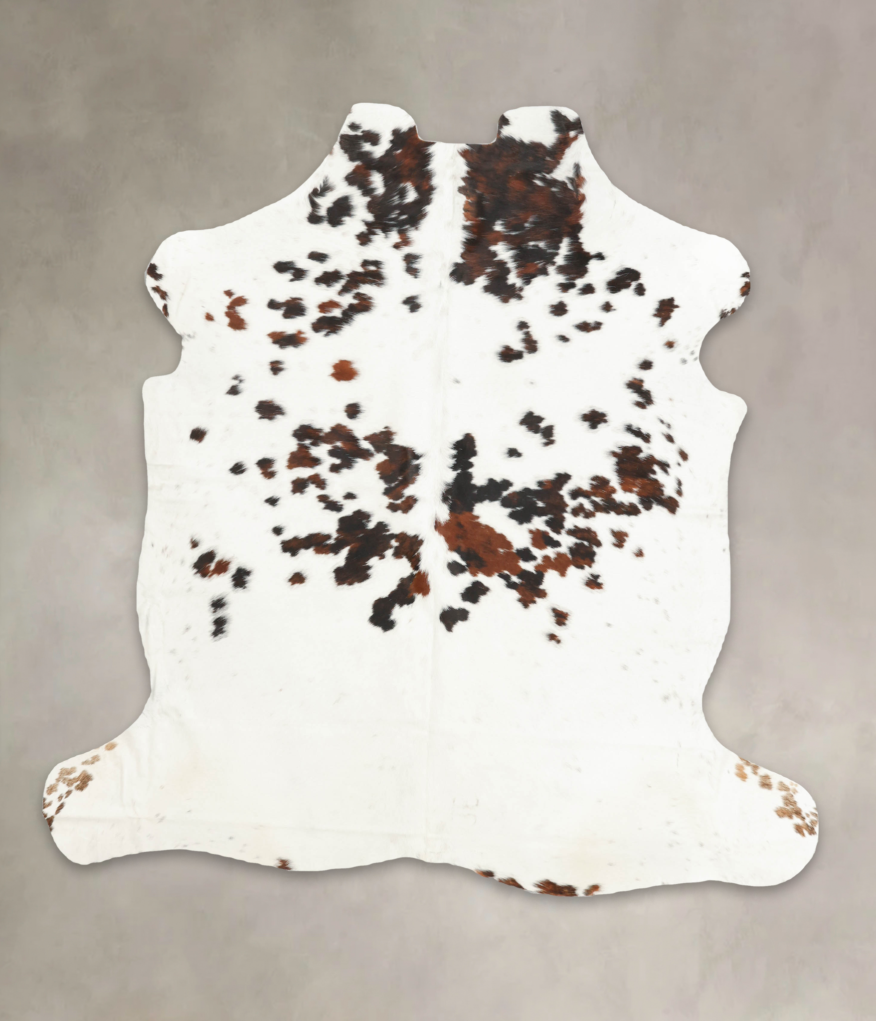 Tricolor Cowhide Rug #B6040