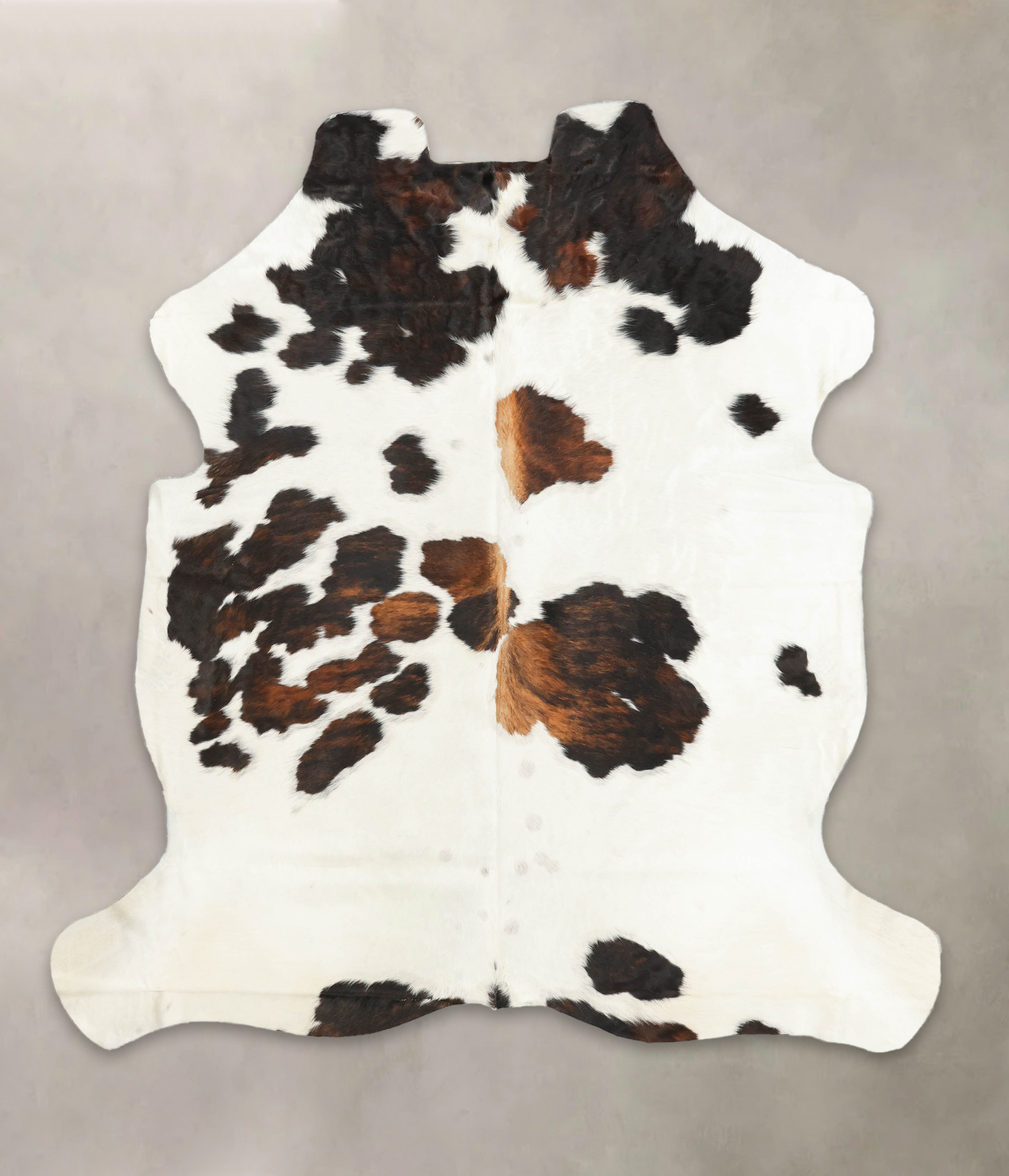 Tricolor Cowhide Rug #B6050