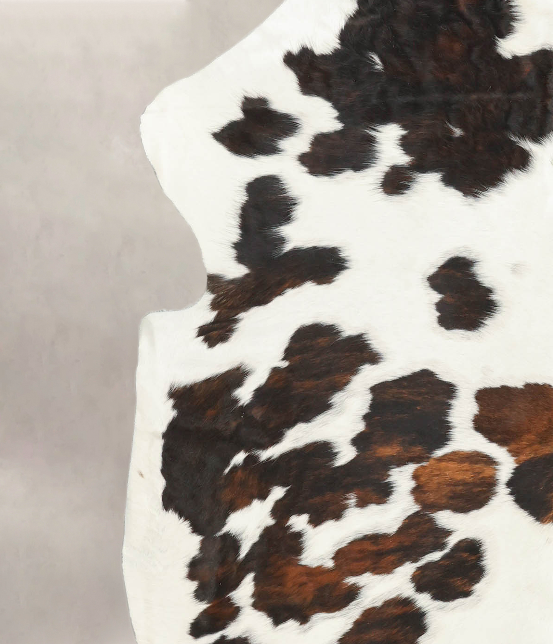 Tricolor Cowhide Rug #B6050