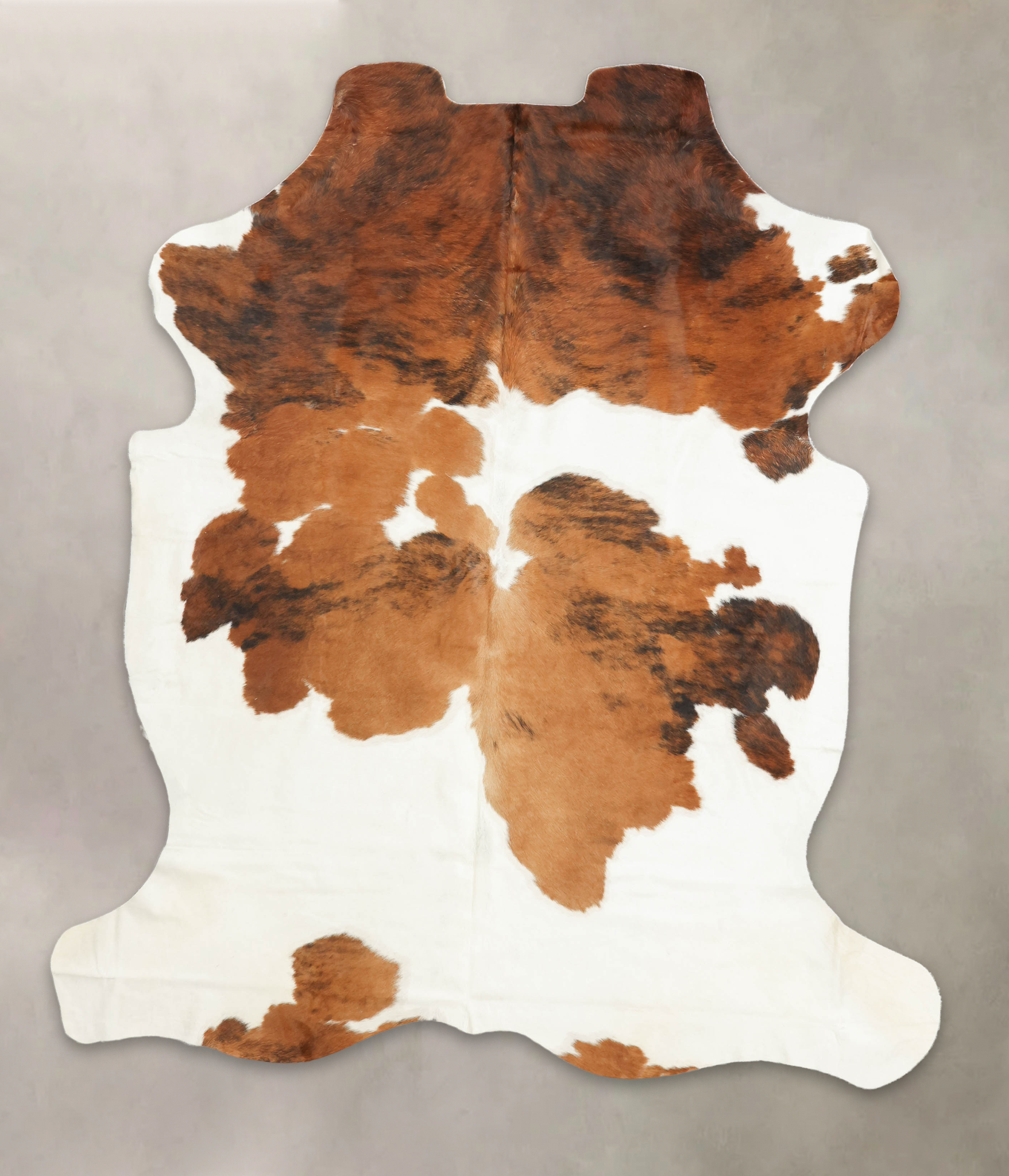 Tricolor Cowhide Rug #B6064