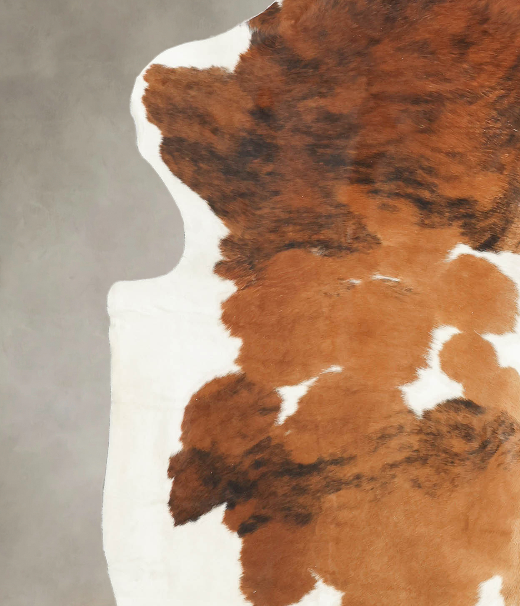 Tricolor Cowhide Rug #B6064