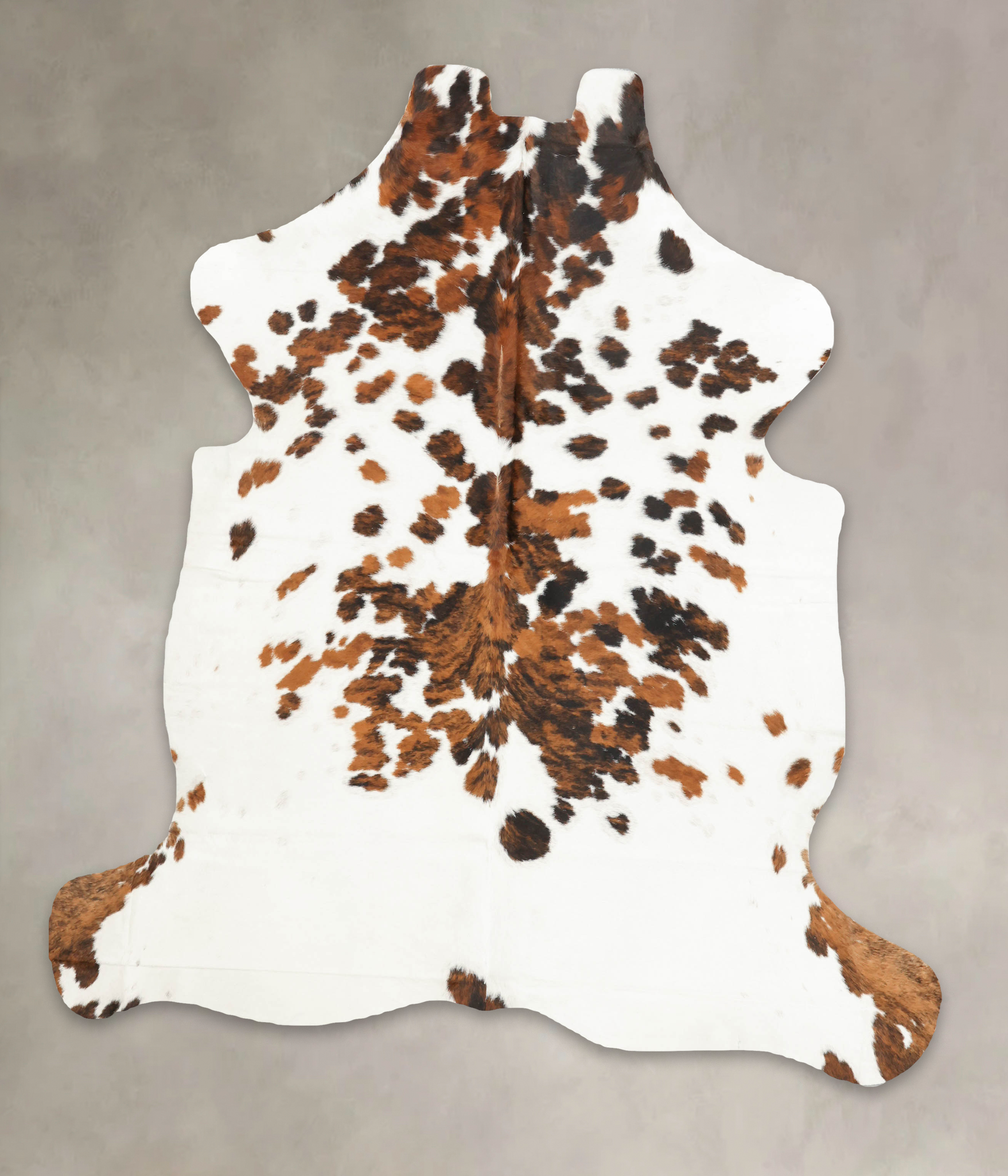 Tricolor Cowhide Rug #B6257