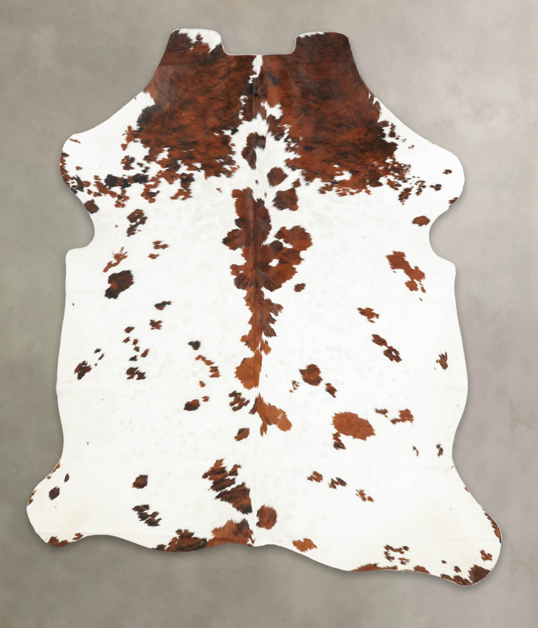 Tricolor Cowhide Rug #B6262