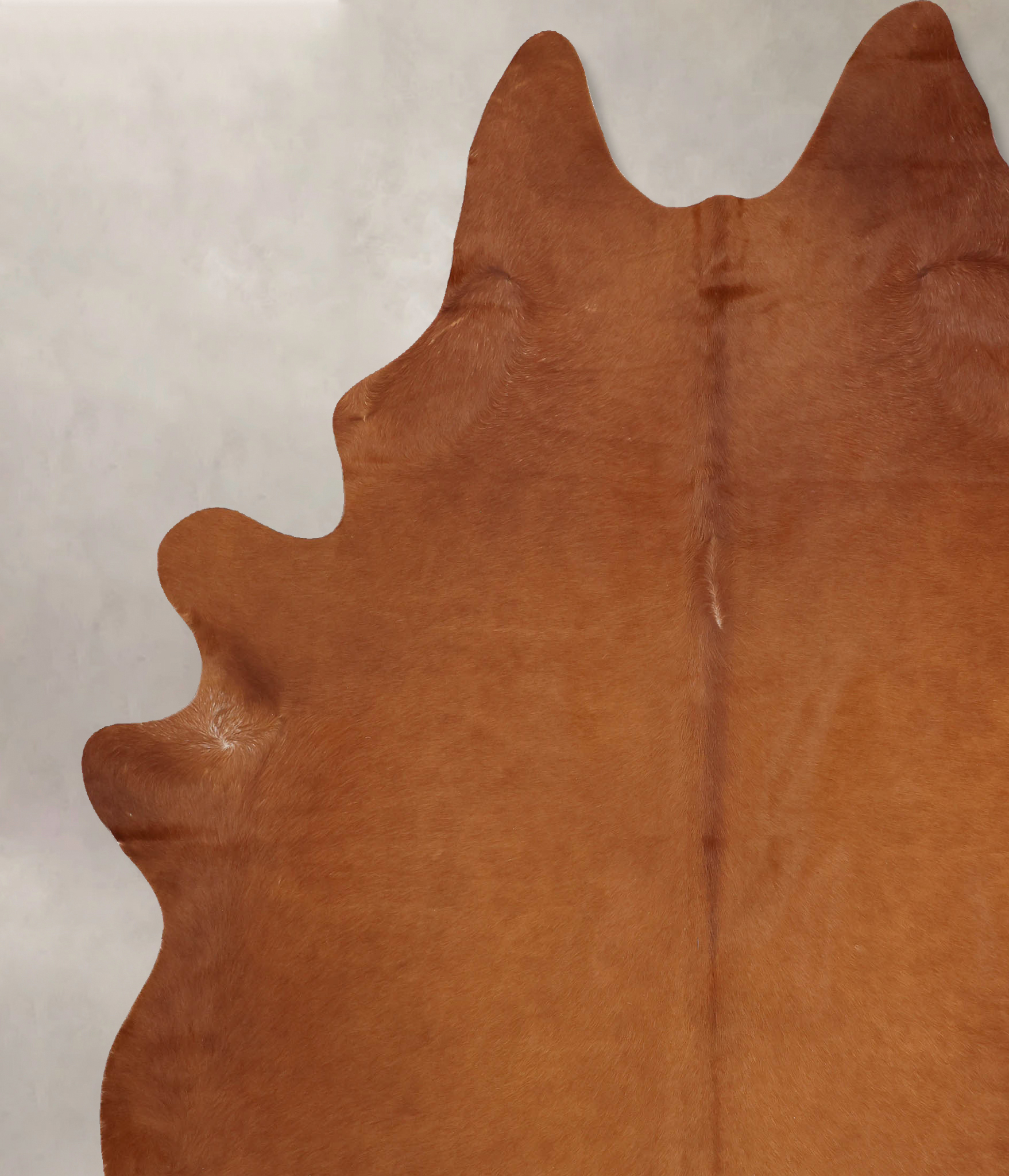 Solid Brown Cowhide Rug #B6930