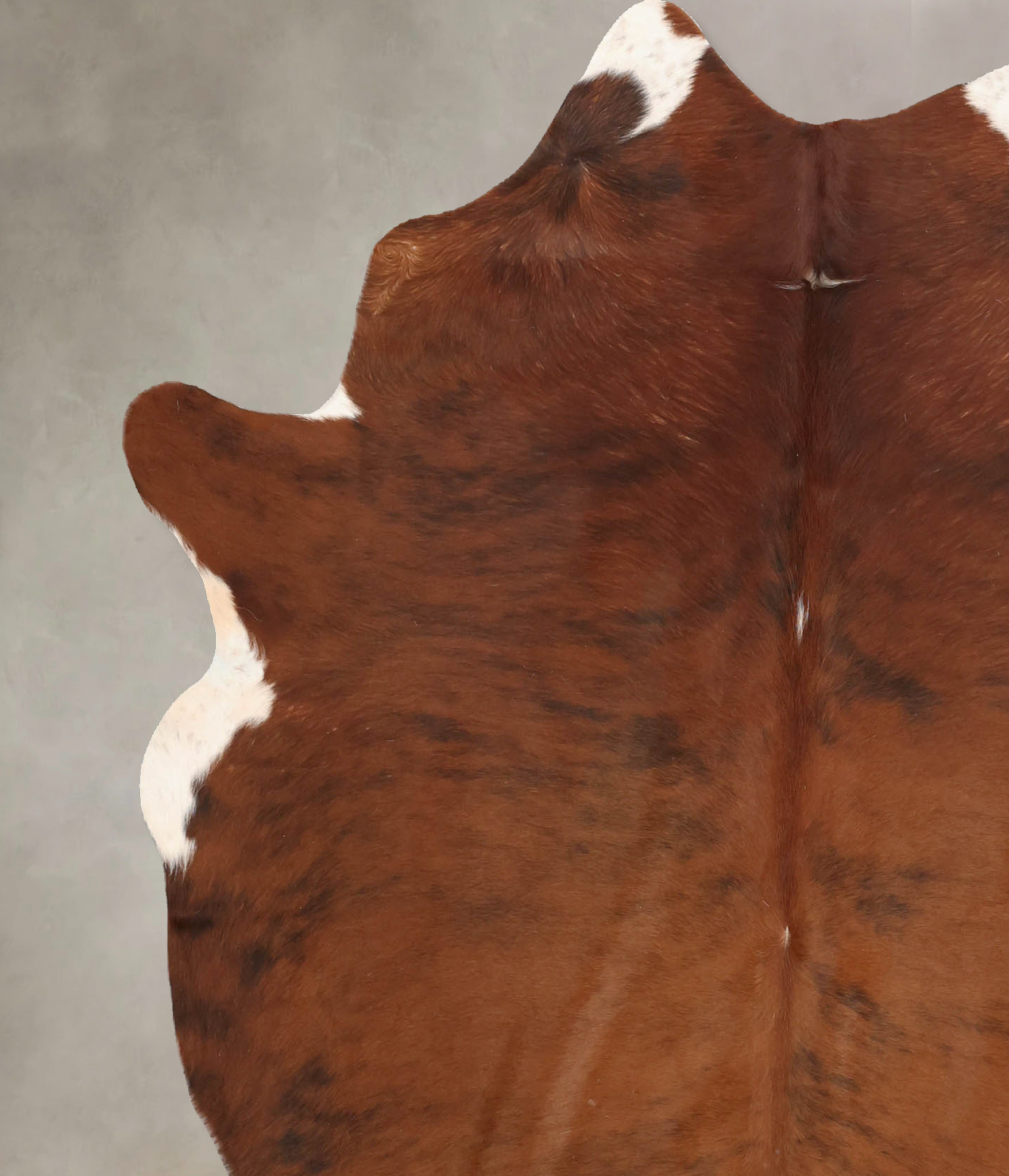 Medium Brindle Cowhide Rug #B7117