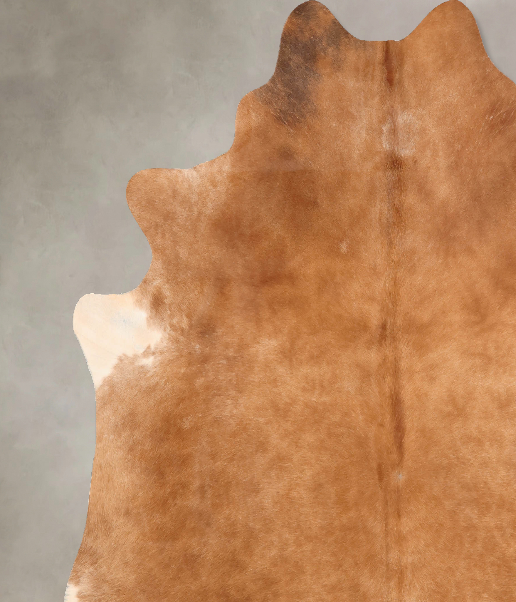 Solid Brown Cowhide Rug #B7389