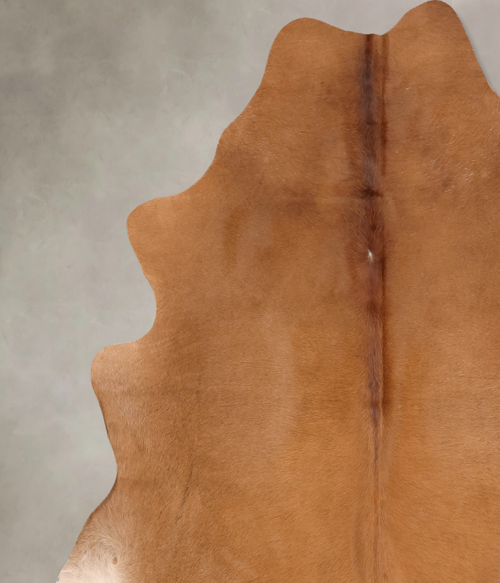 Solid Brown Cowhide Rug #B7596