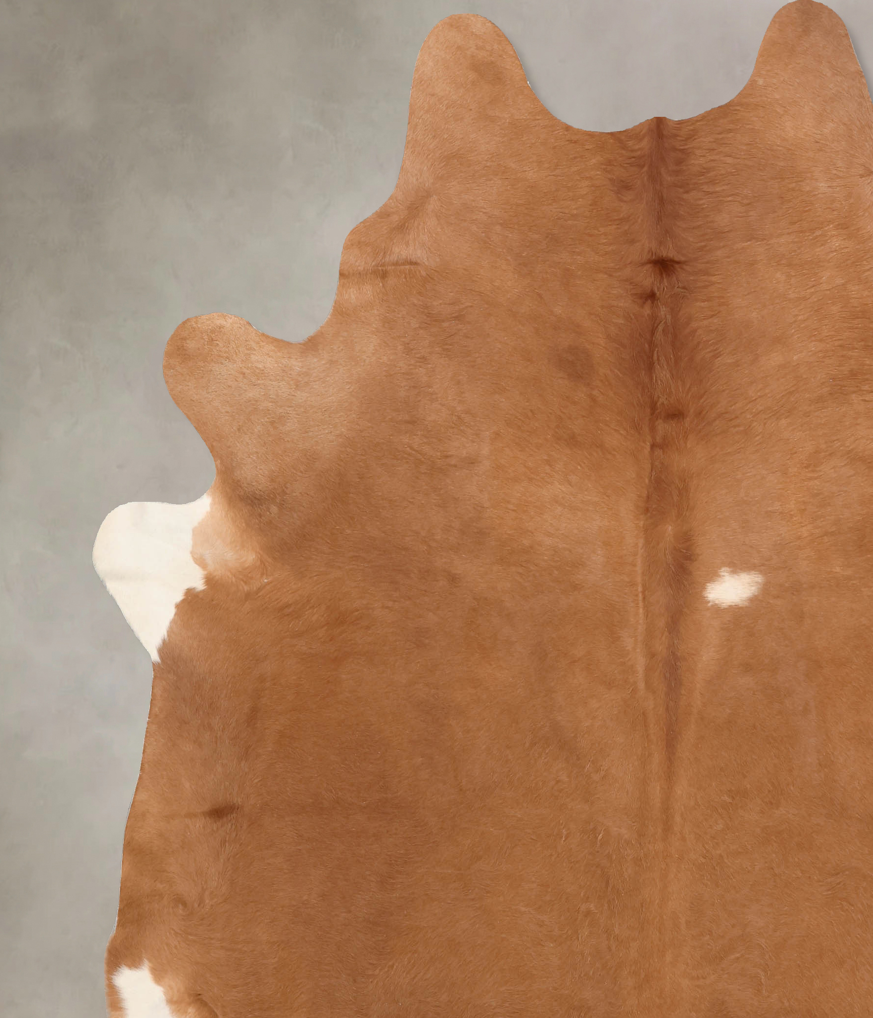 Solid Brown Cowhide Rug #B7702