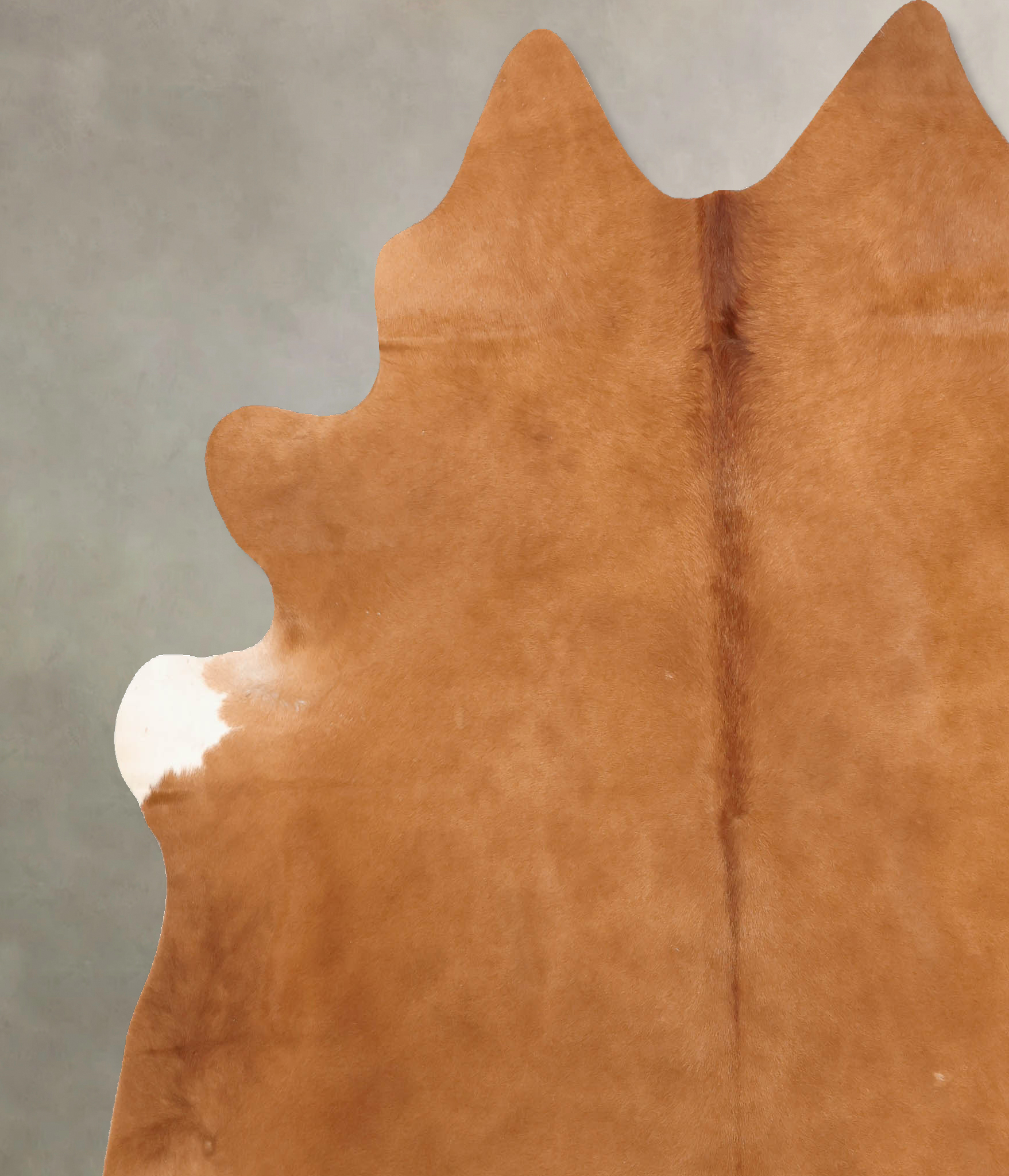 Solid Brown Cowhide Rug #B7703