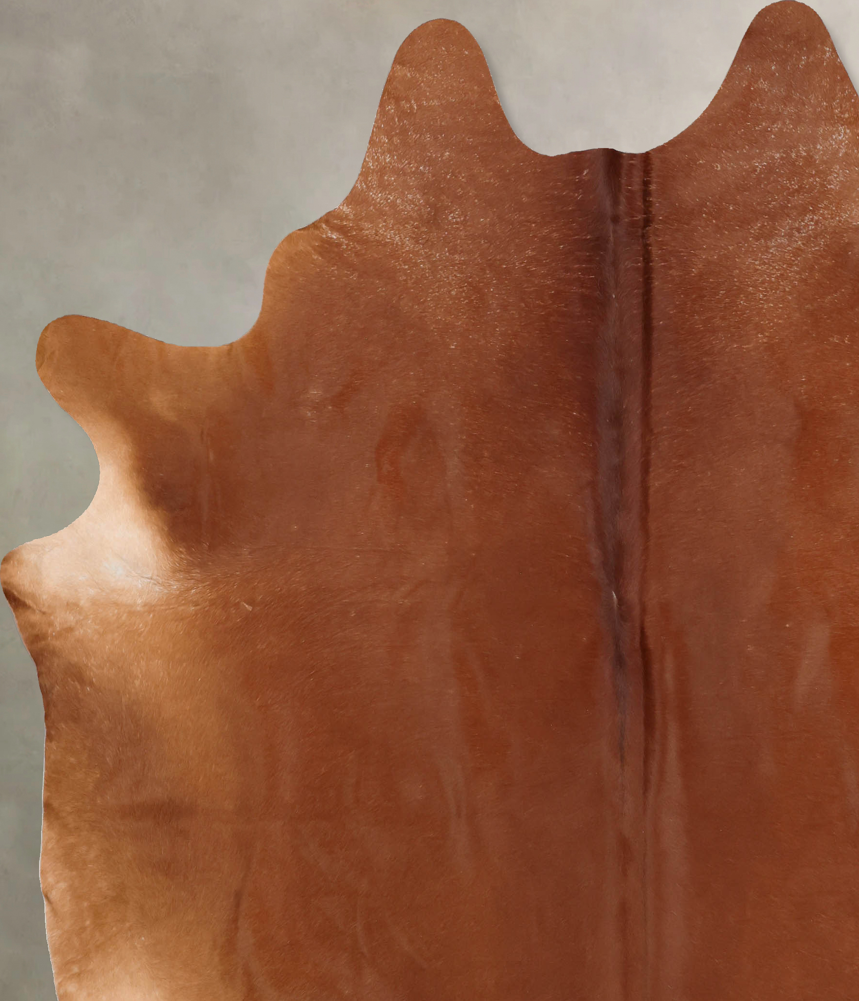 Solid Brown Cowhide Rug #B7705