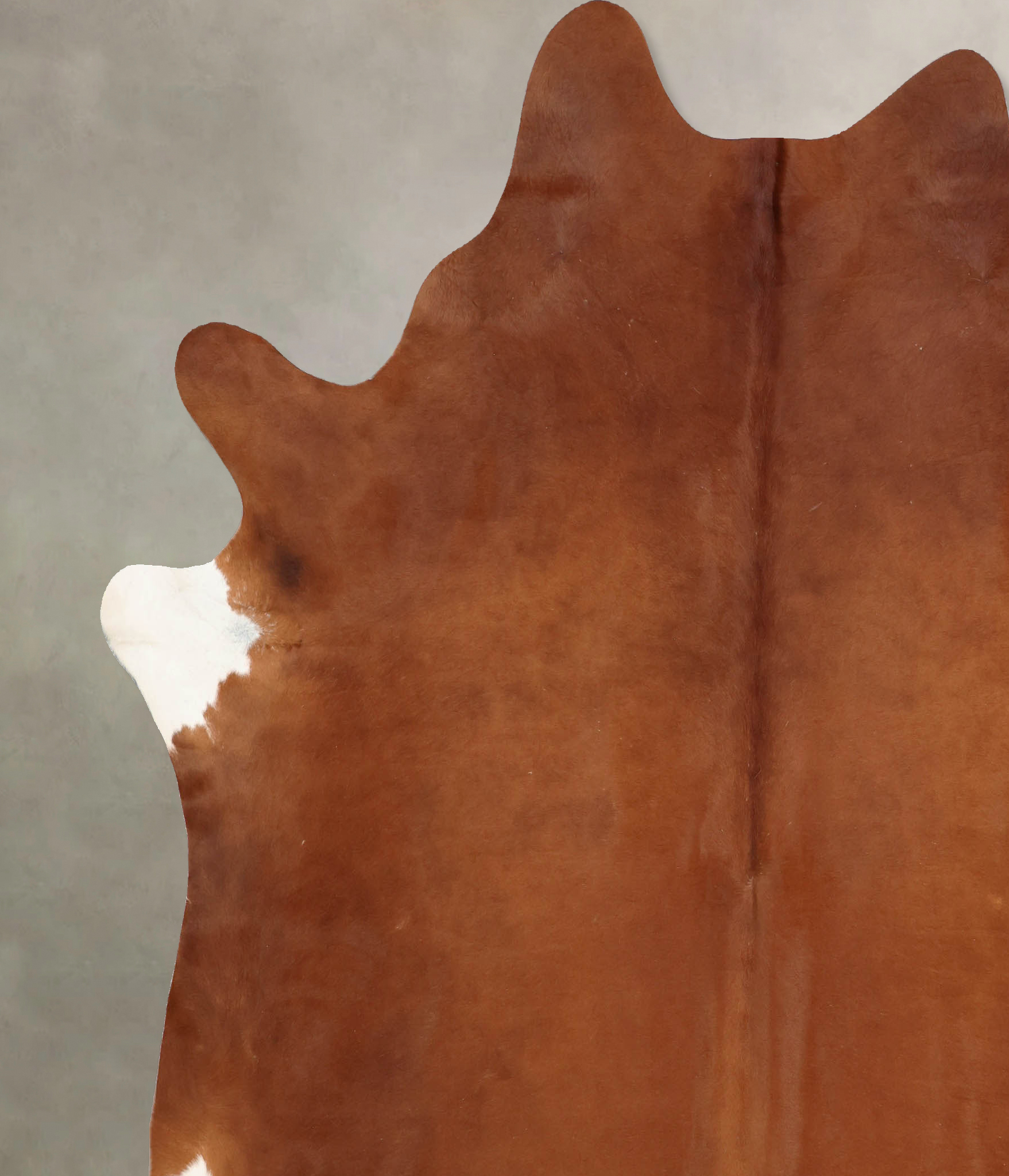 Solid Brown Cowhide Rug #B7738