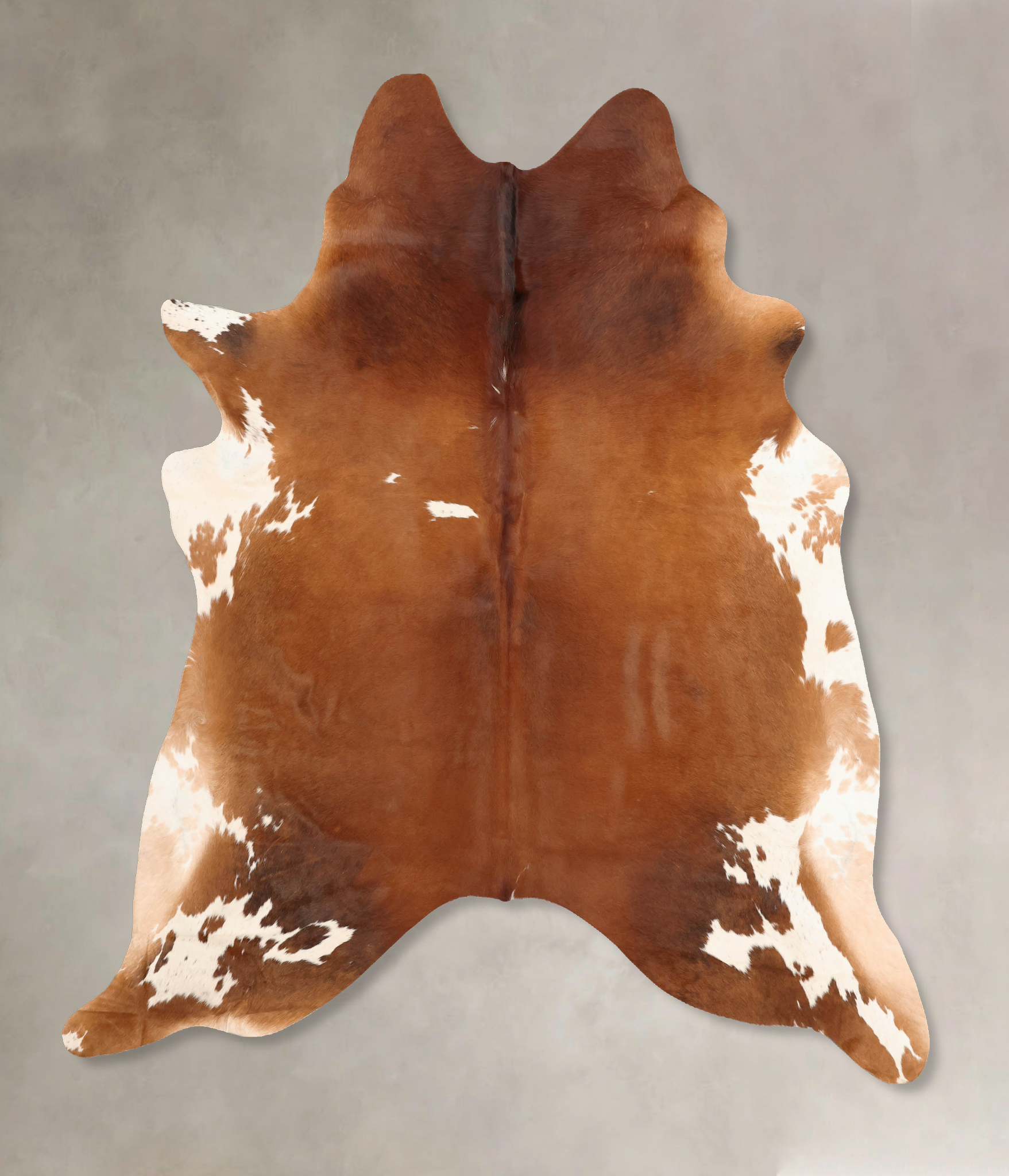 Brown and White Regular Cowhide Rug #B7744