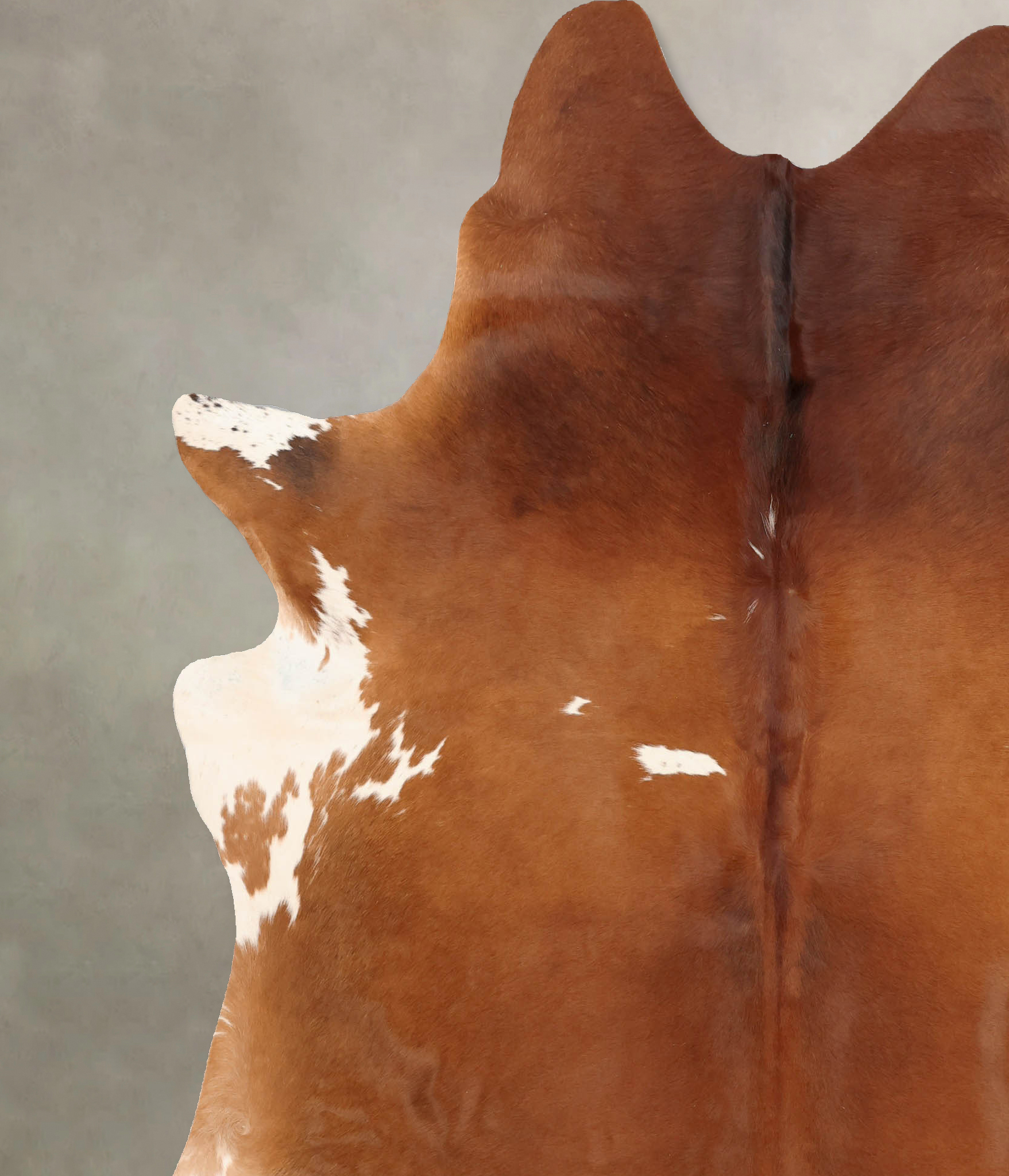 Brown and White Regular Cowhide Rug #B7744