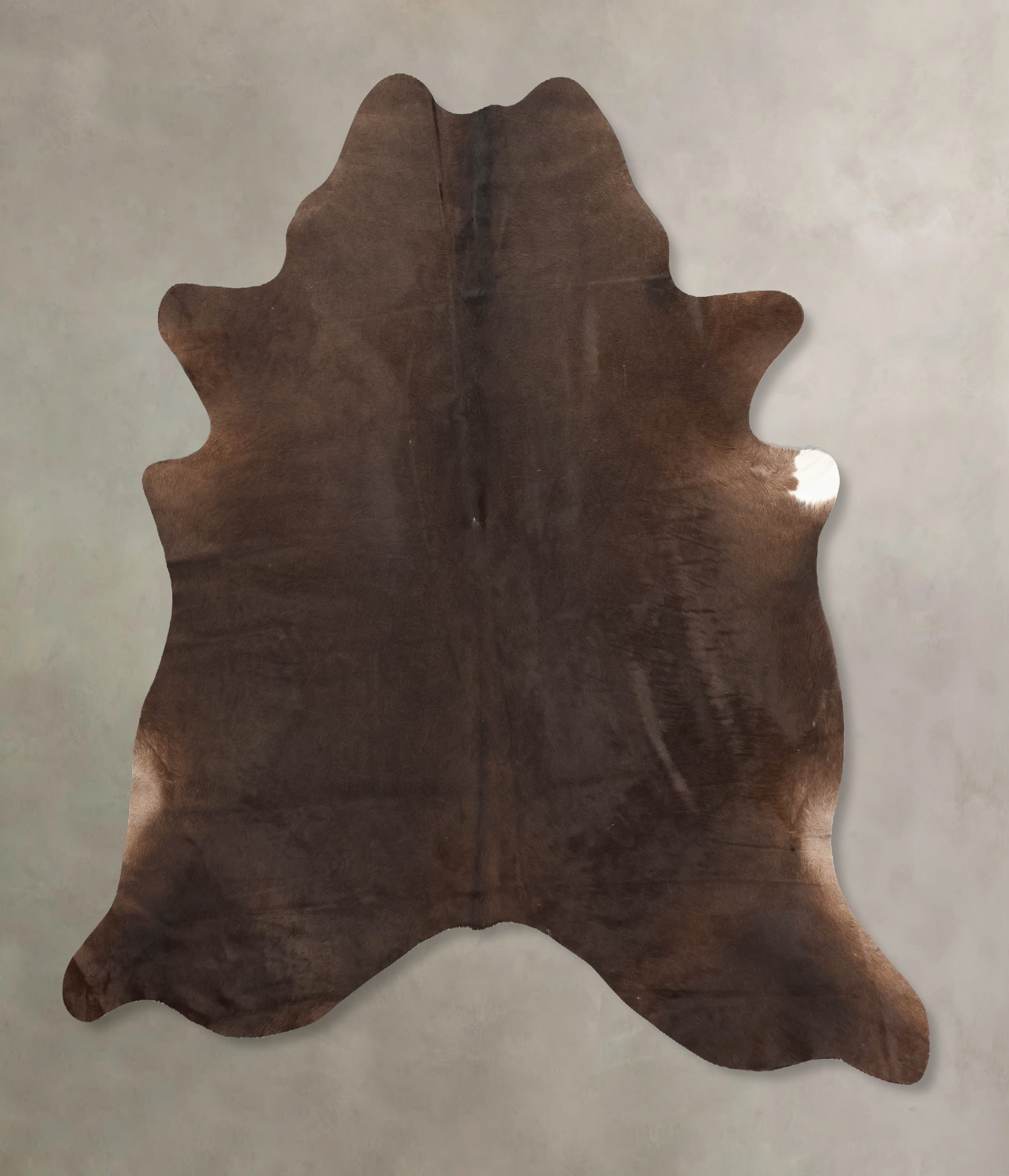 Chocolate Cowhide Rug #B7755