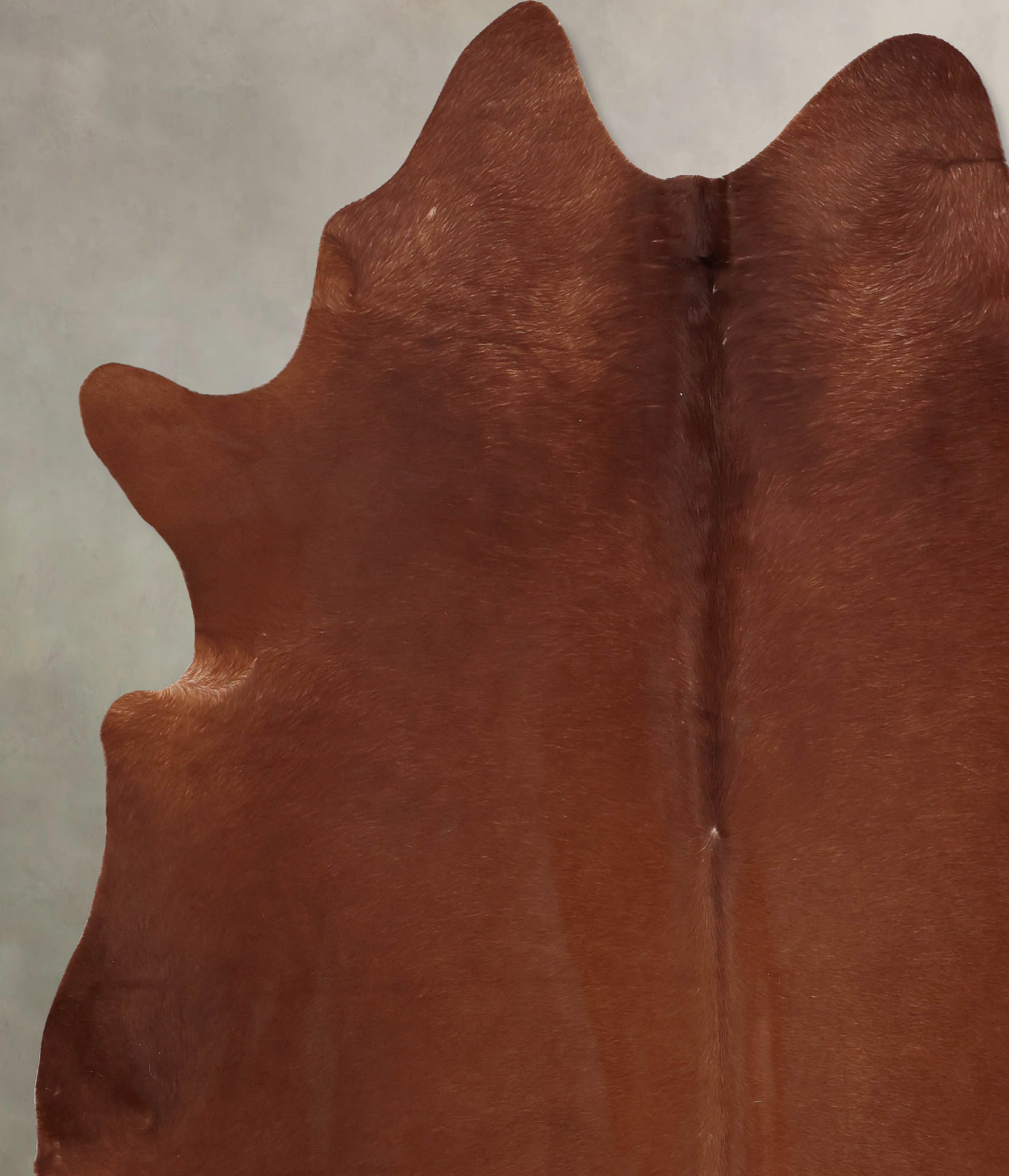 Solid Brown Cowhide Rug #B7763