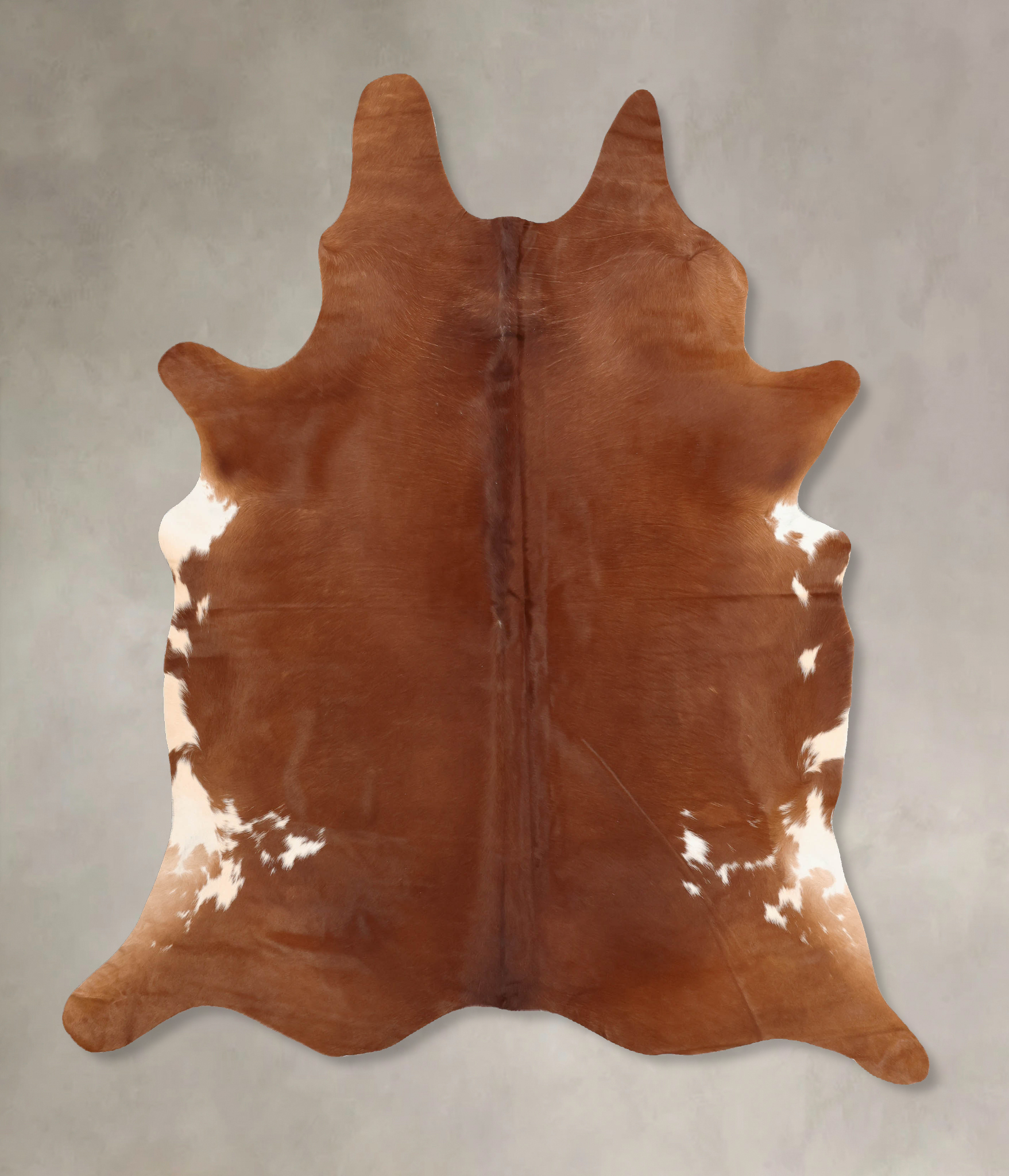 Brown and White Regular Cowhide Rug #B7772