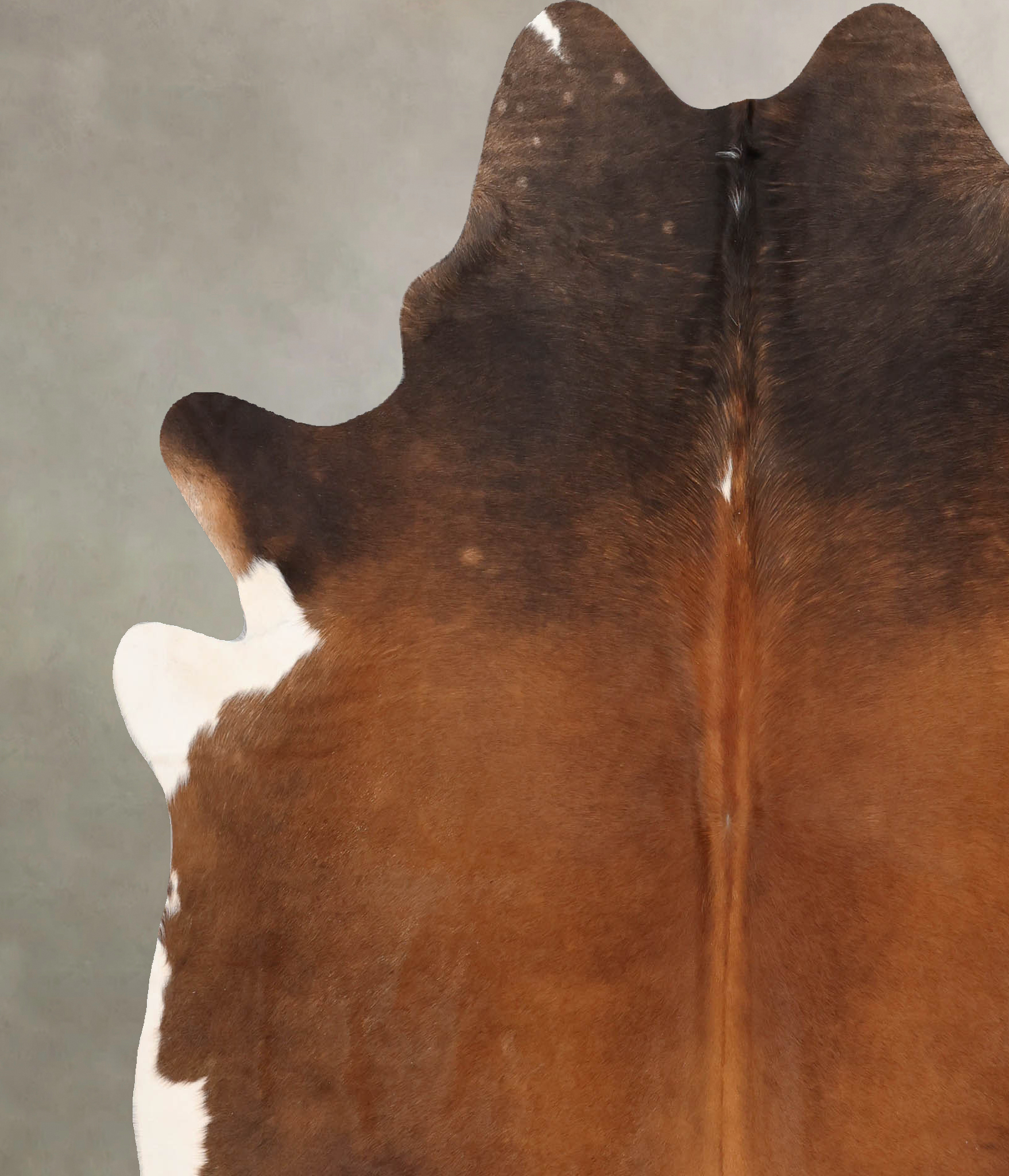 Warm Caramel Cowhide Rug #B7779