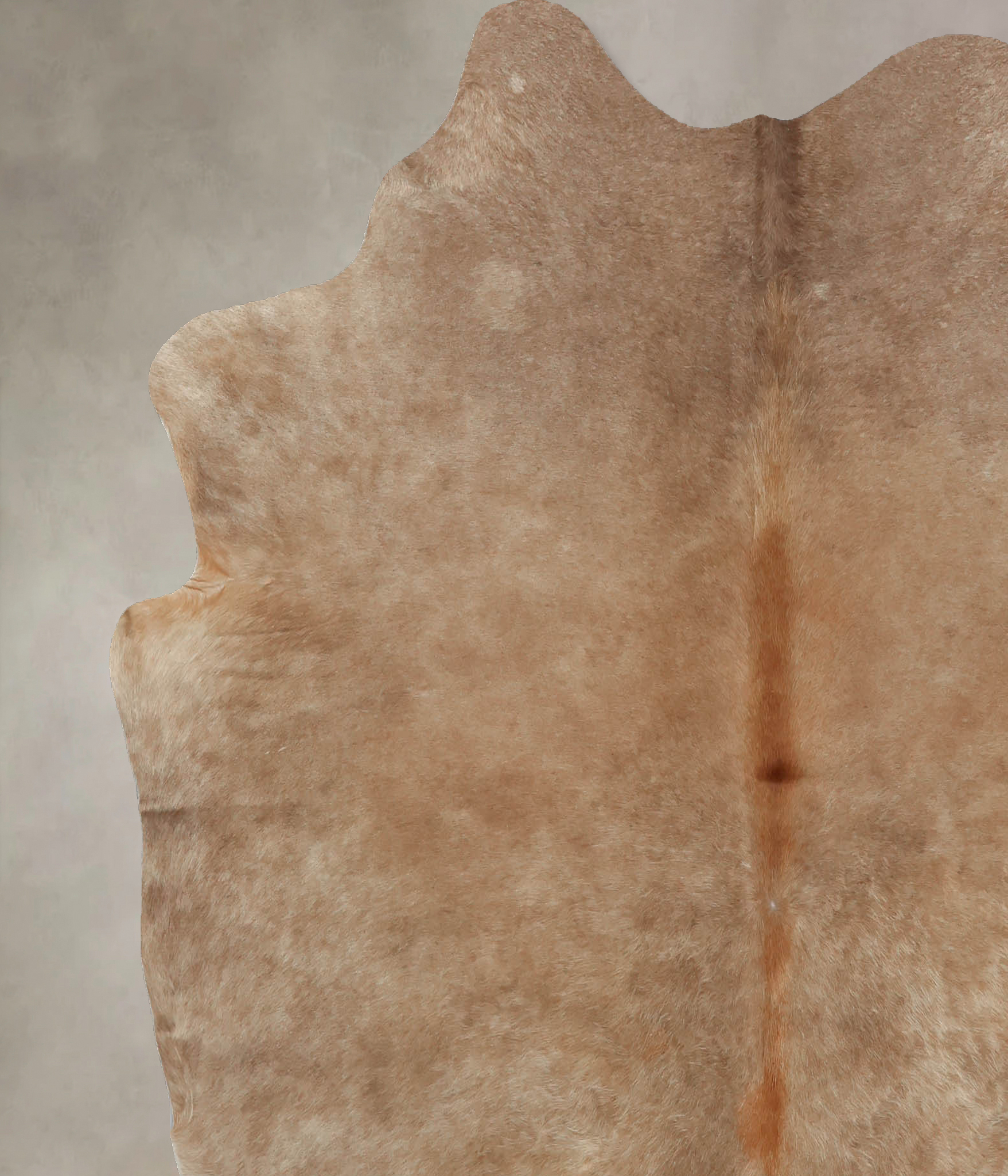 Taupe Cowhide Rug #B7901