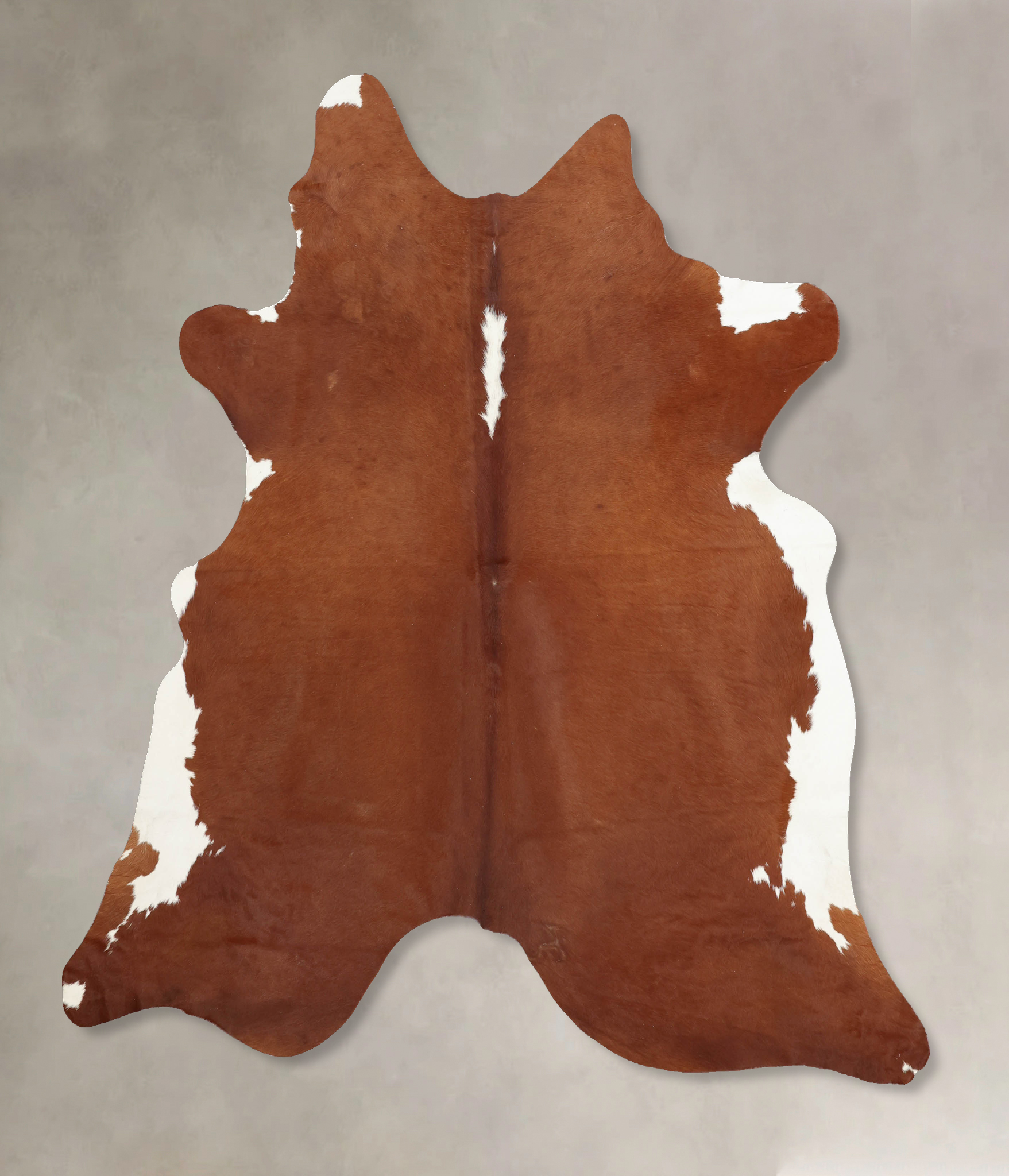 Brown and White Regular Cowhide Rug #B7929