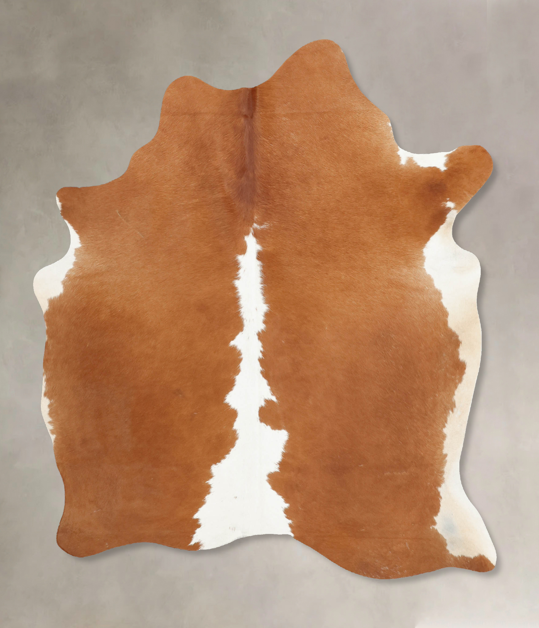 Brown and White Regular Cowhide Rug #B7971