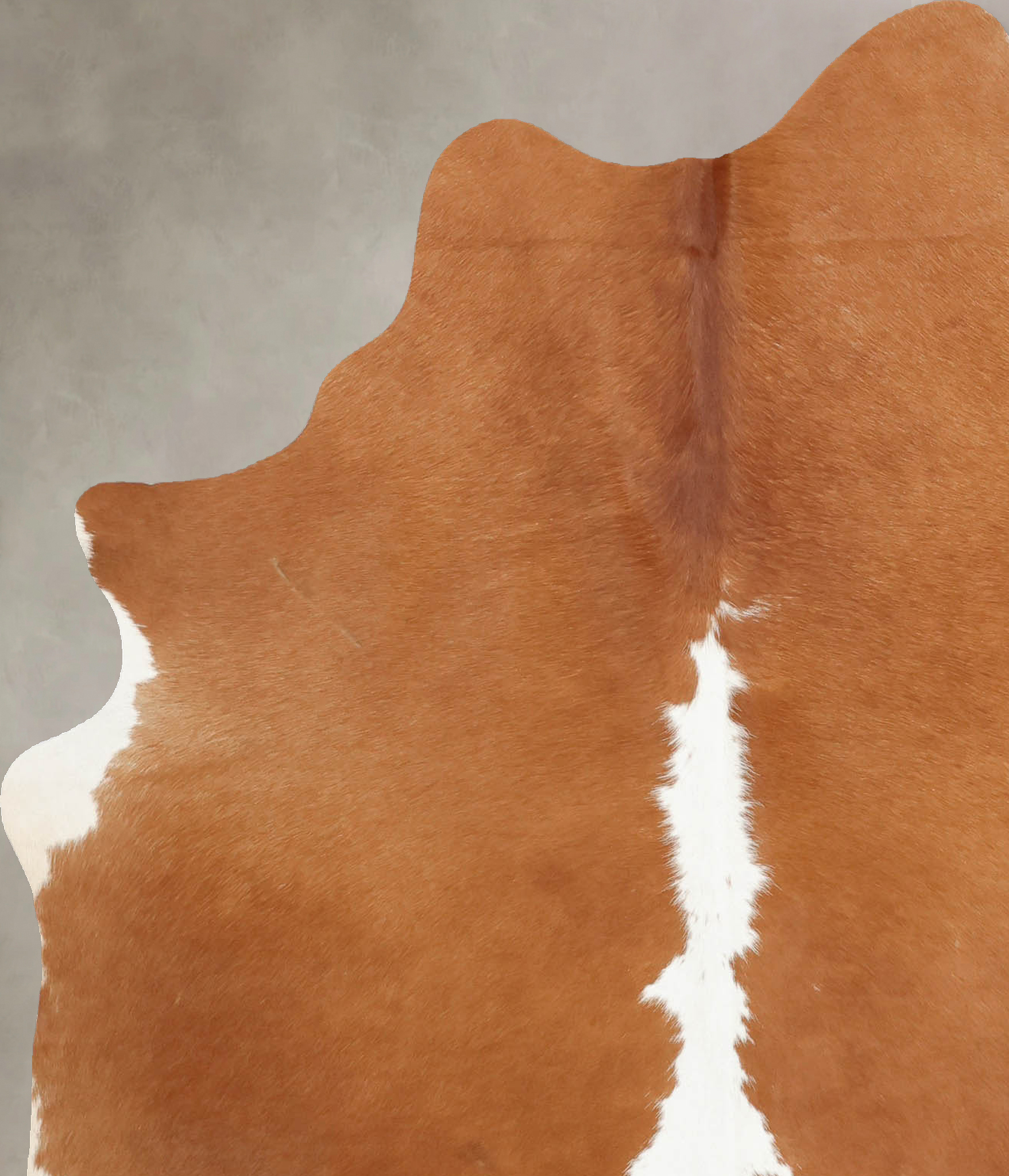 Brown and White Regular Cowhide Rug #B7971