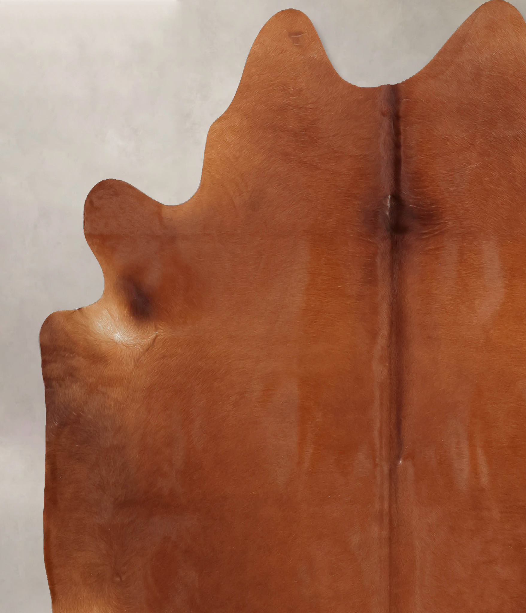 Solid Brown Cowhide Rug #B7979