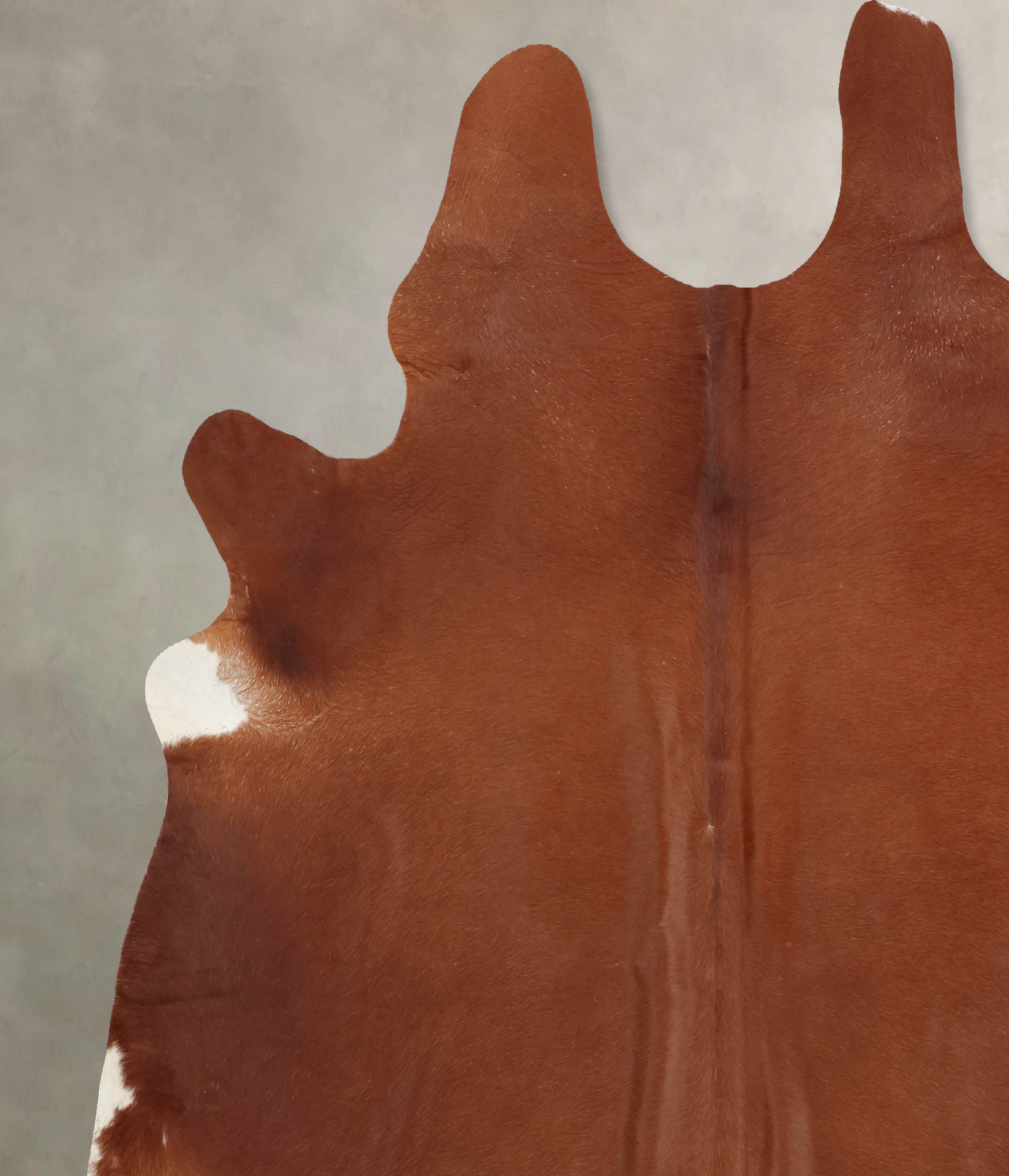 Solid Brown Cowhide Rug #B7985