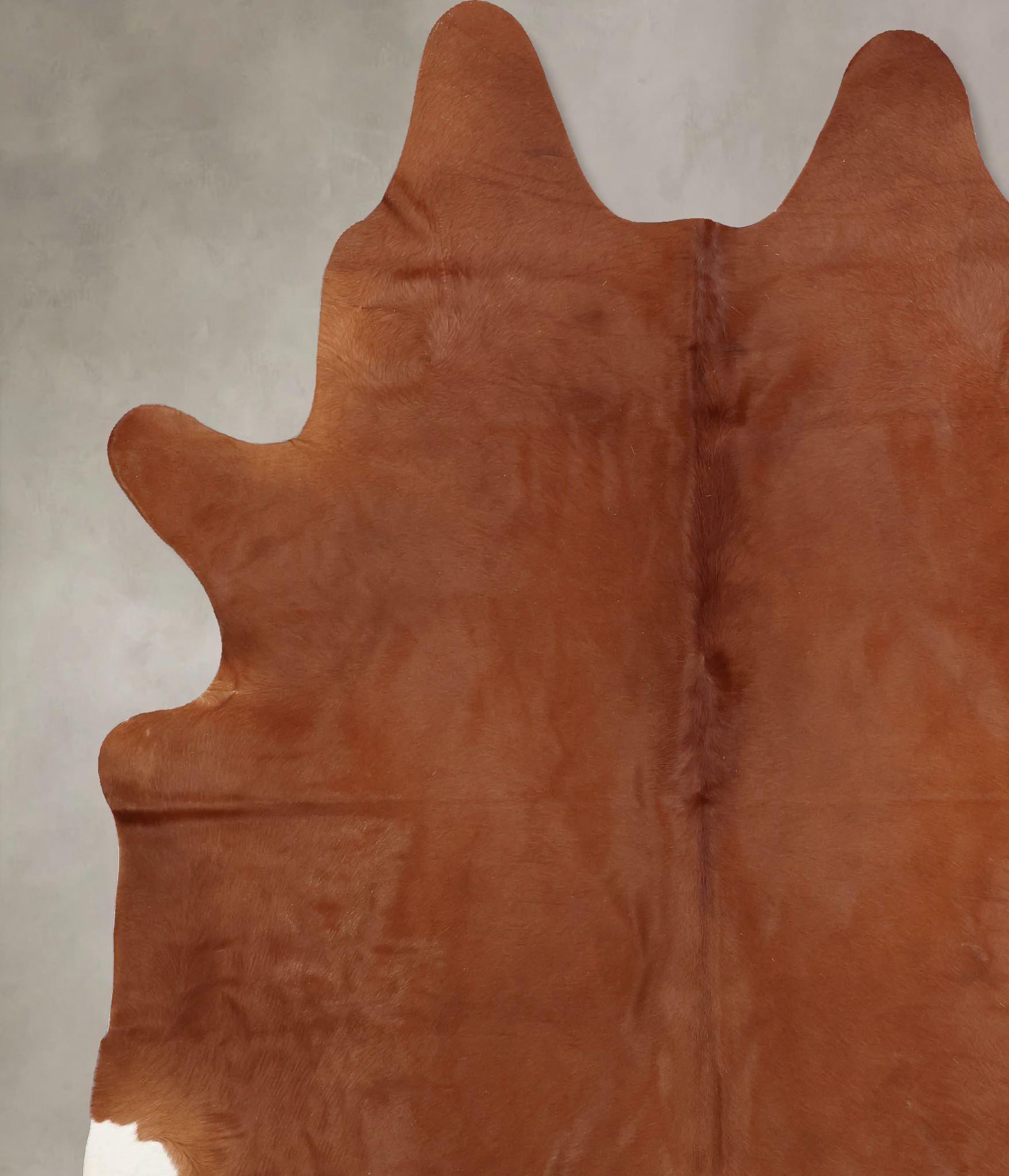 Solid Brown Cowhide Rug #B7989