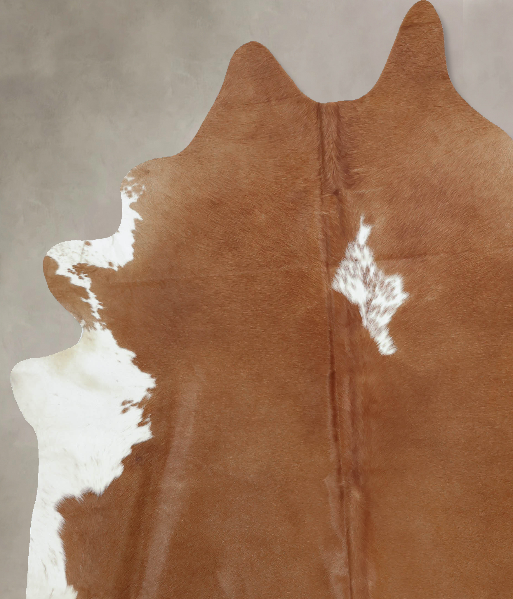 Brown and White Cowhide Rug #B7999