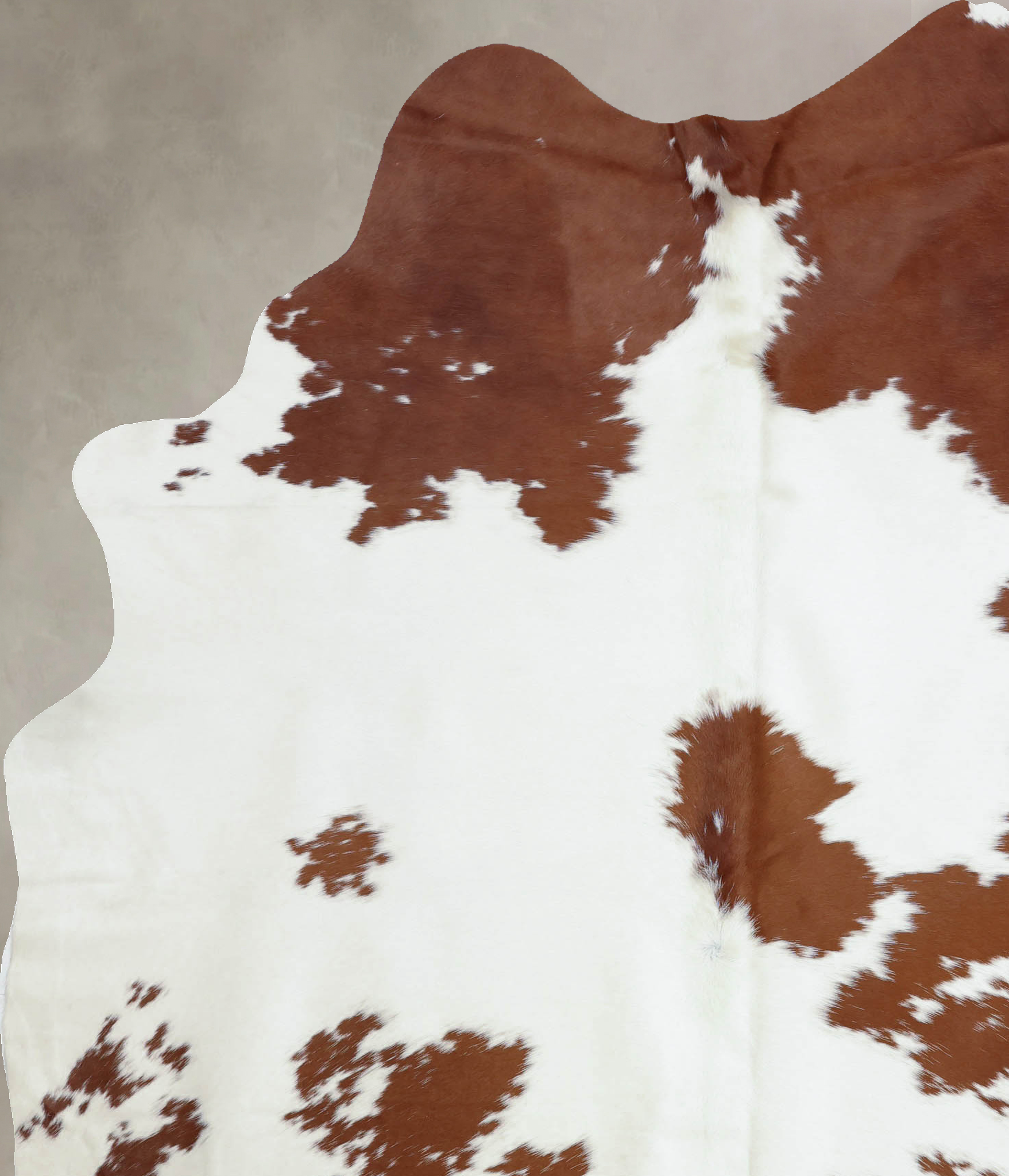 Brown and White Cowhide Rug #B8017