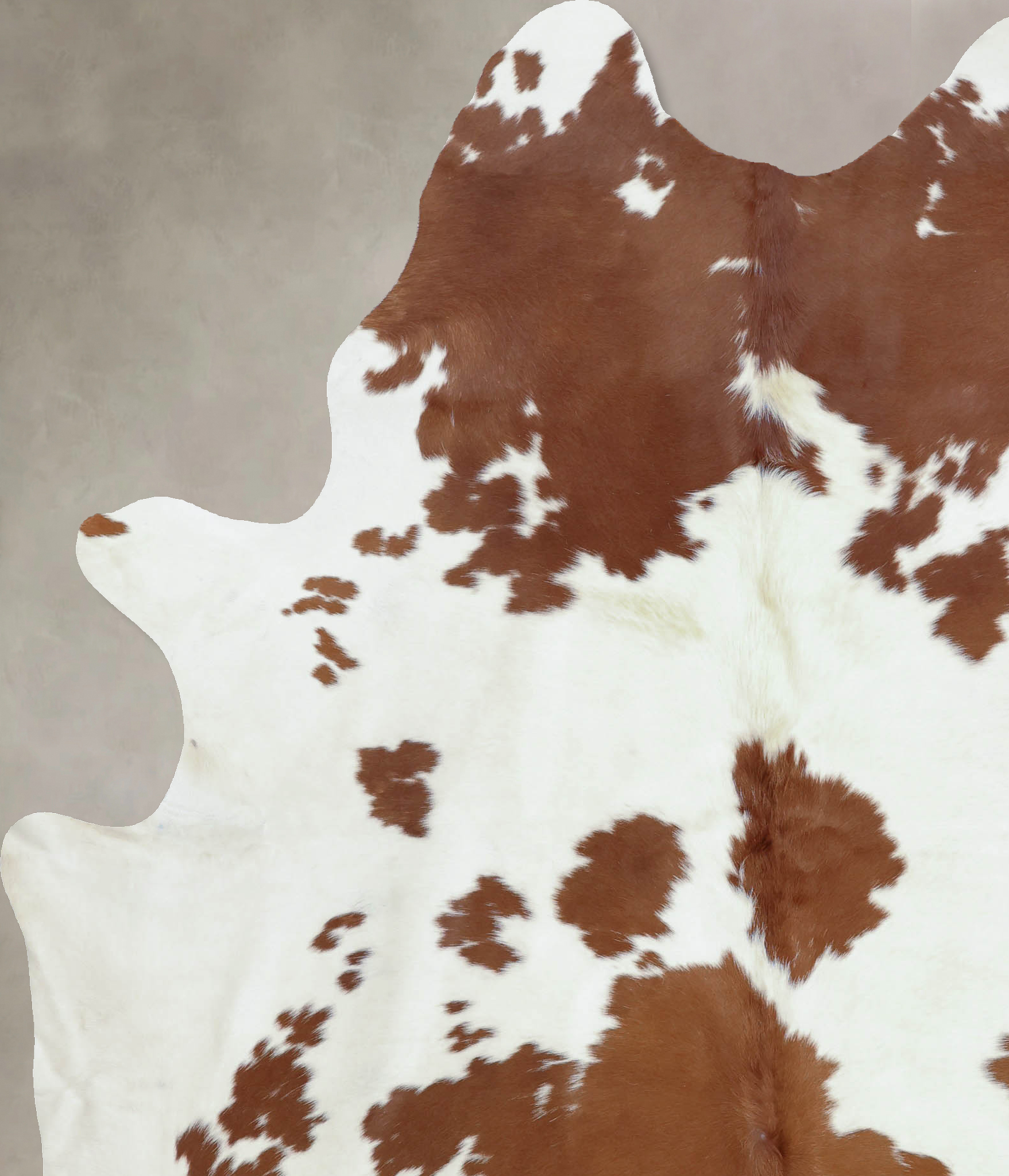 Brown and White Cowhide Rug #B8021